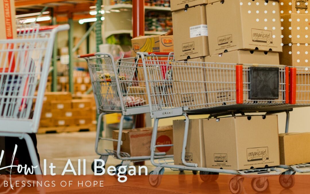 Feed the hungry, Bulk Shipments, Gaylord bins, Prolonged Shelf Life, Stable shipping, End World Hunger, Noodles, Applejacks, Repackage and Distribute