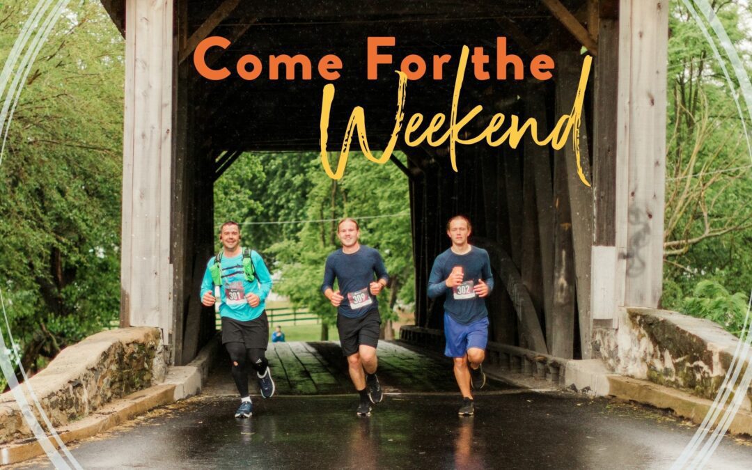 Neighbors, Blessings, Hope, Spring, Pennsylvania, Fundraiser, Food, Fun, Facts, Banquet, Concert, Kingdom Expression, Ryan & Friends, Festival, 5K, 10K, Auction,