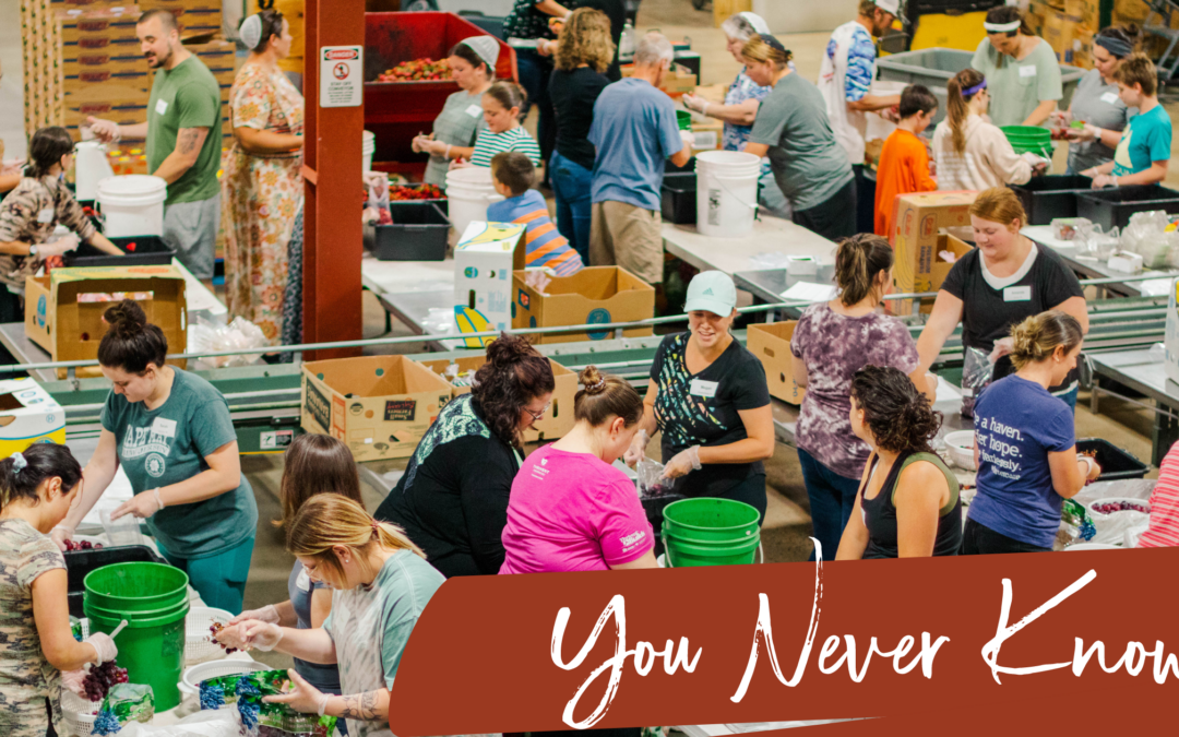 Volunteers, Appreciation, Faithfulness, Generosity, Kindness, Valued Volunteers, Employees, Partners.