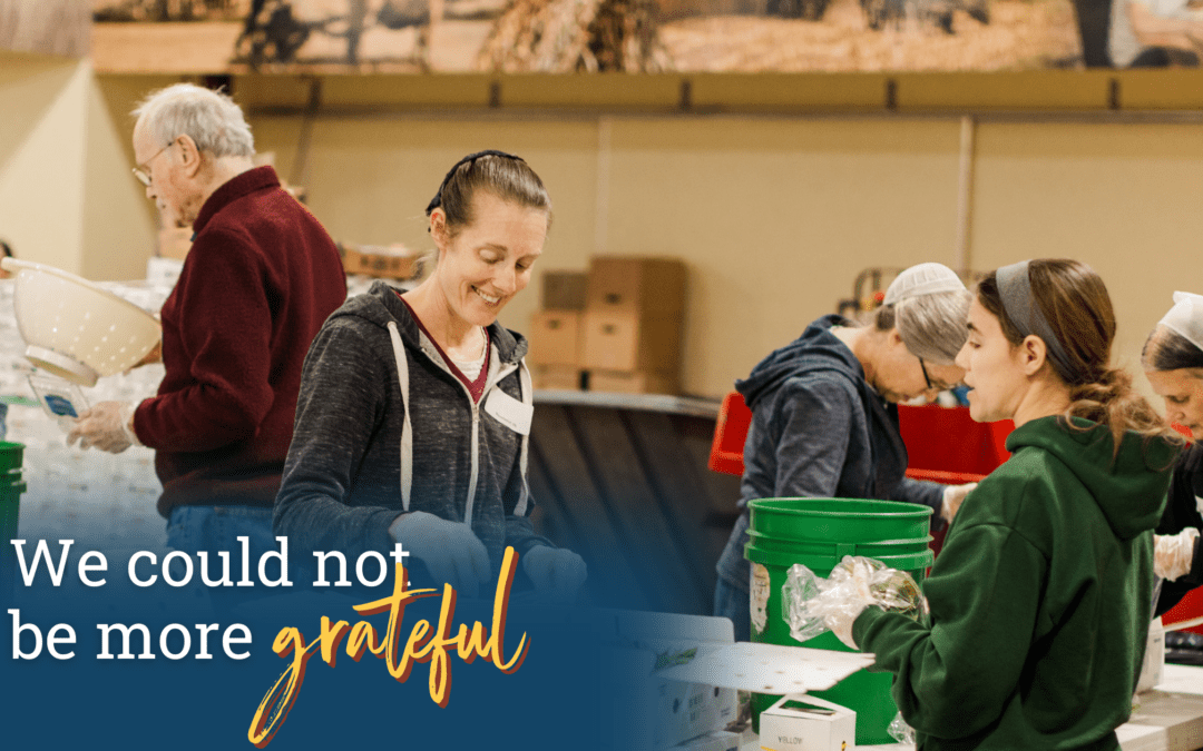 Volunteer Appreciation Day, Volunteers, Gratitude, Nonprofit workers