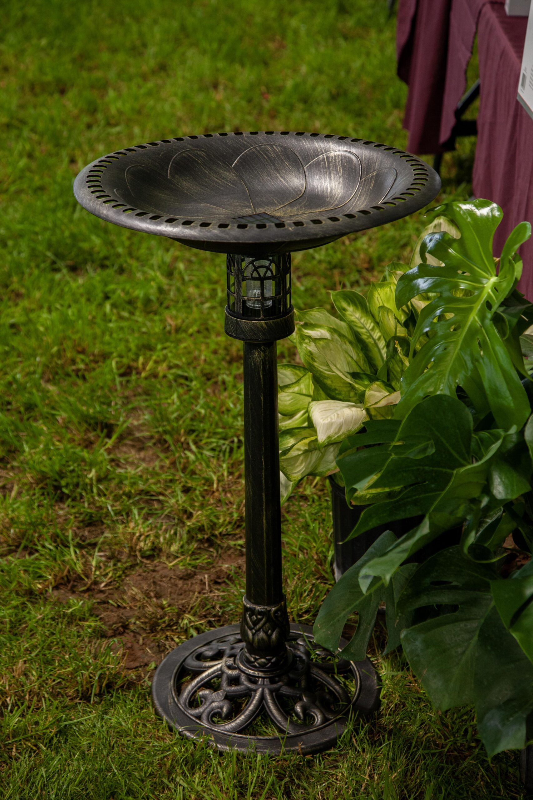 Decorative metal birdbath on a pedestal standing in a grassy garden, surrounded by lush green plants. The birdbath features an ornate design with a scalloped edge and a lantern-style base. Ideal for attracting birds to your outdoor space.