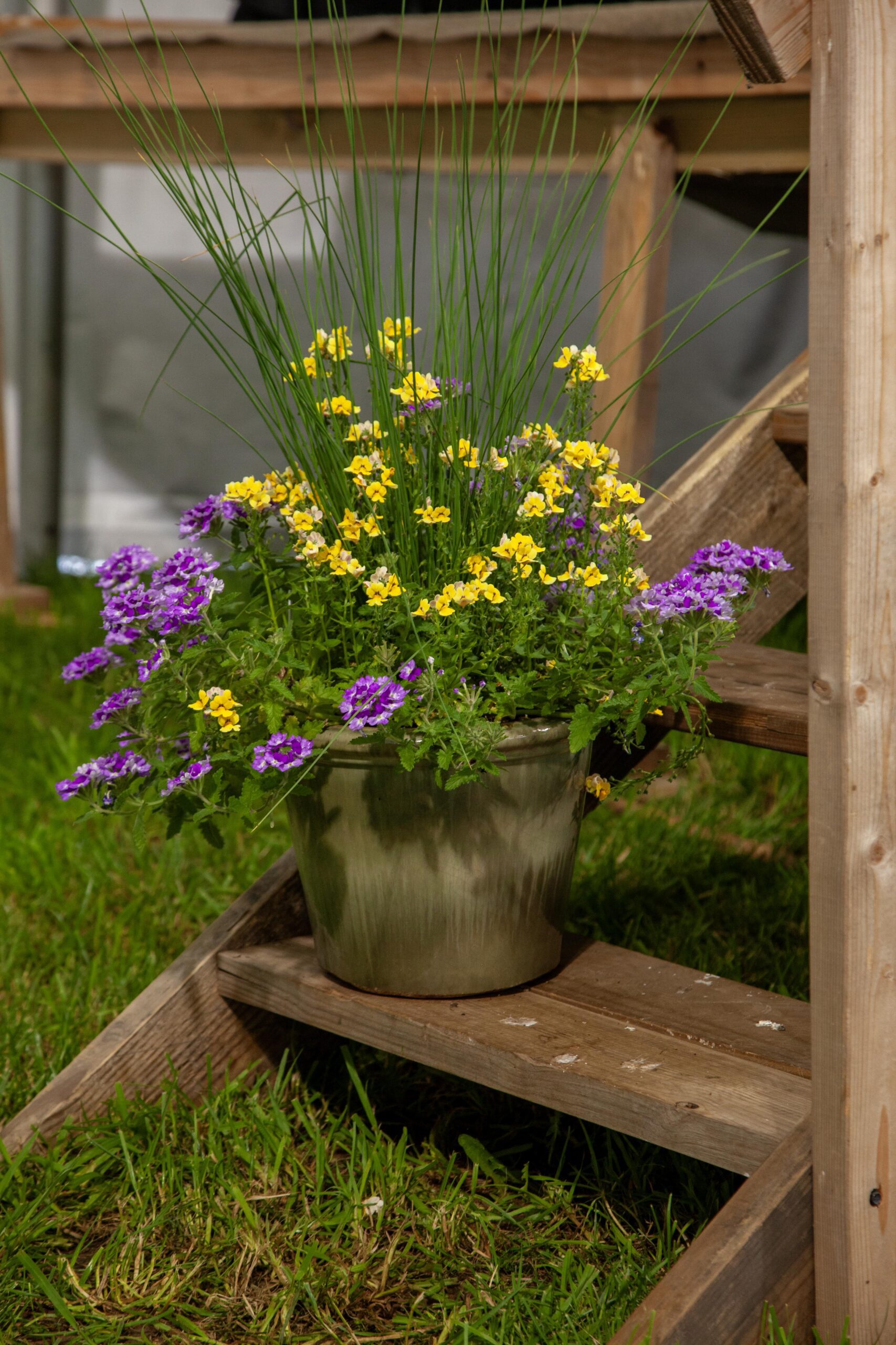 Potted flower arrangement featuring vibrant yellow, purple, and green plants placed on wooden steps in a garden setting.