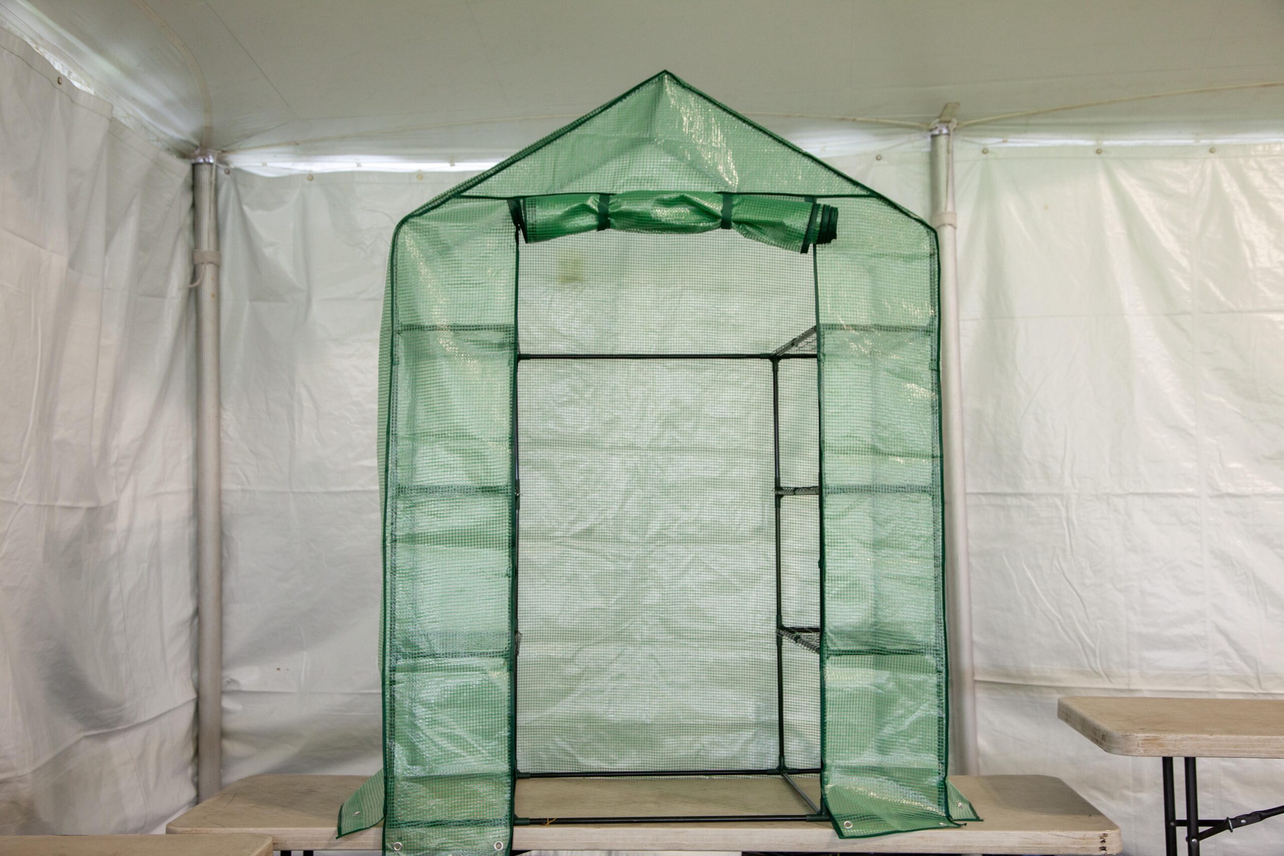 Portable green mesh greenhouse with shelves, set up indoors on a light-colored table. Ideal for indoor gardening and seedling propagation.