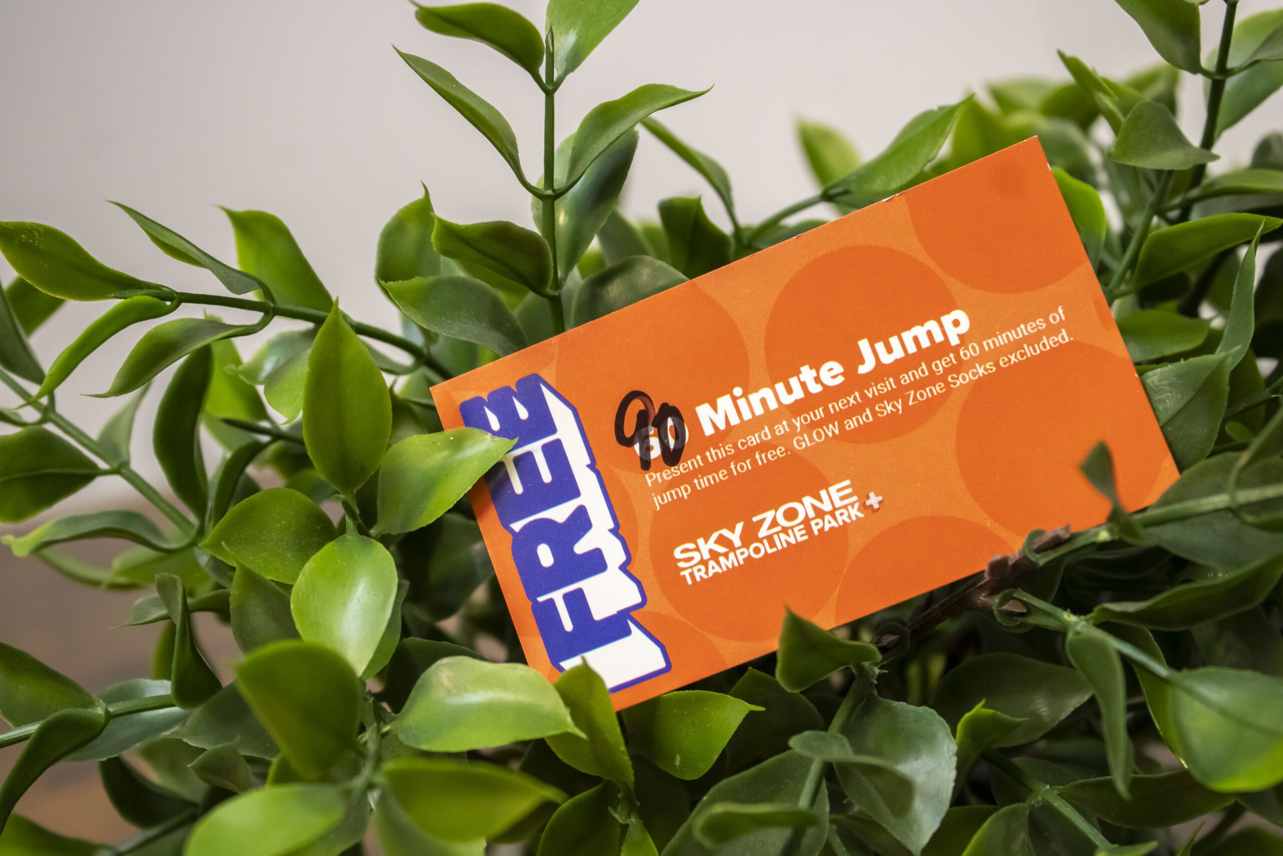 Orange Sky Zone free jump pass nestled in lush green leaves.