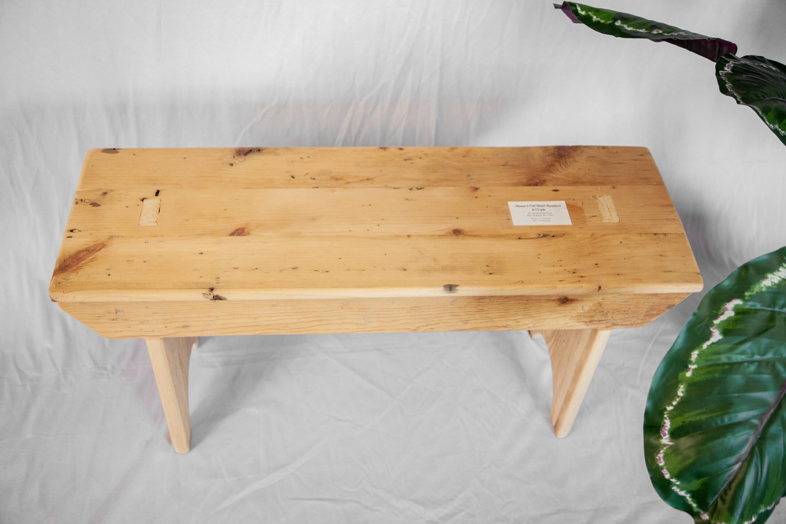 Wooden bench with a natural finish and visible grain patterns, placed on a light backdrop, accompanied by a decorative plant in the corner.