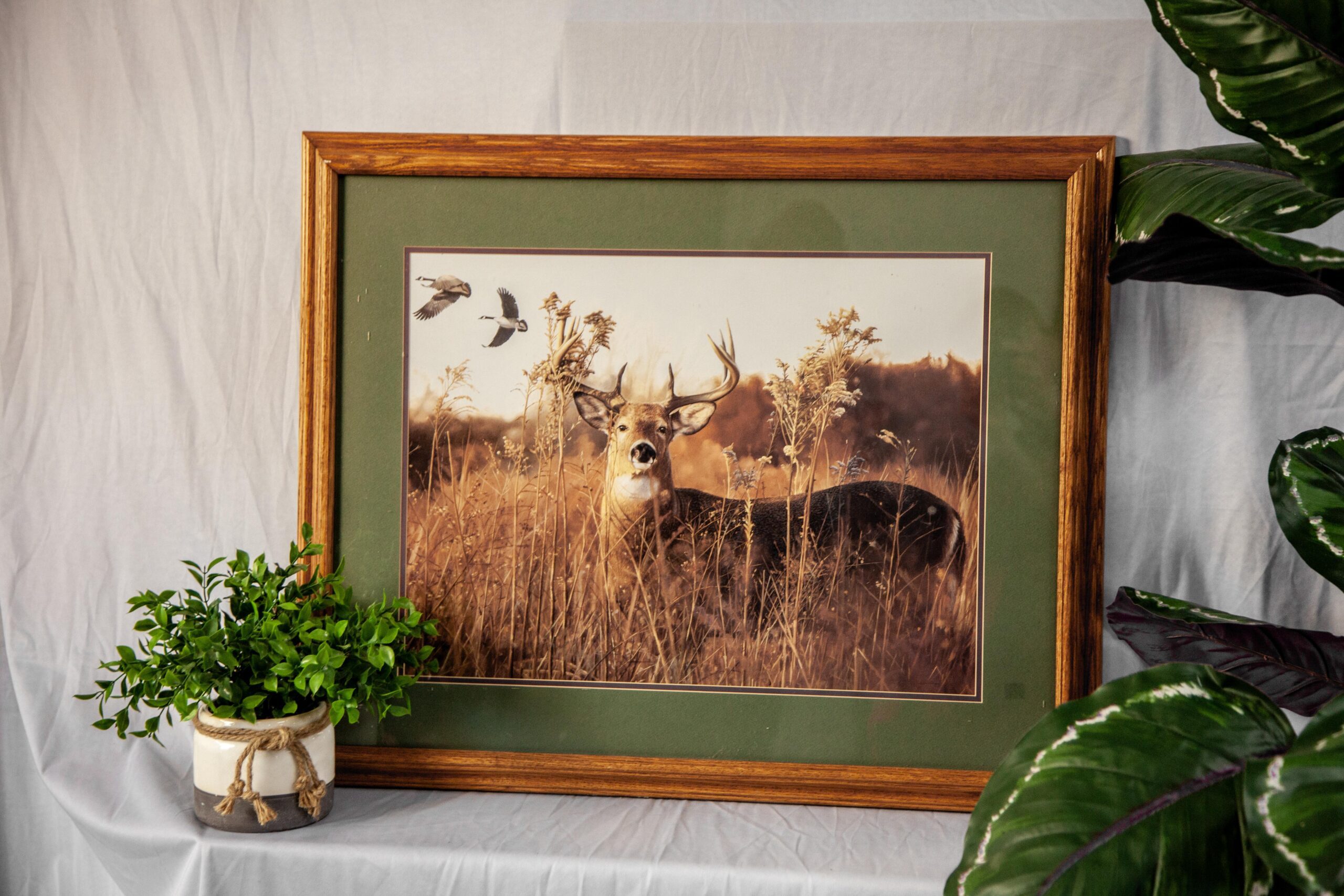 A framed wildlife photograph depicting a deer standing in tall grass, surrounded by flowered plants, with birds flying overhead. The image is set against a neutral backdrop, complemented by a small potted plant on a table.