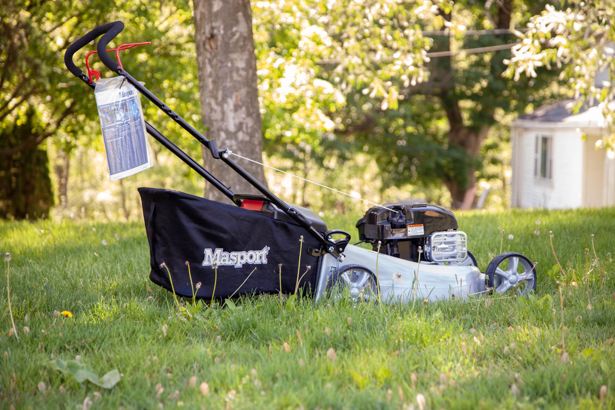 A Masport lawn mower parked on lush green grass, showcasing its black bag and sturdy build, with a sunny garden backdrop.