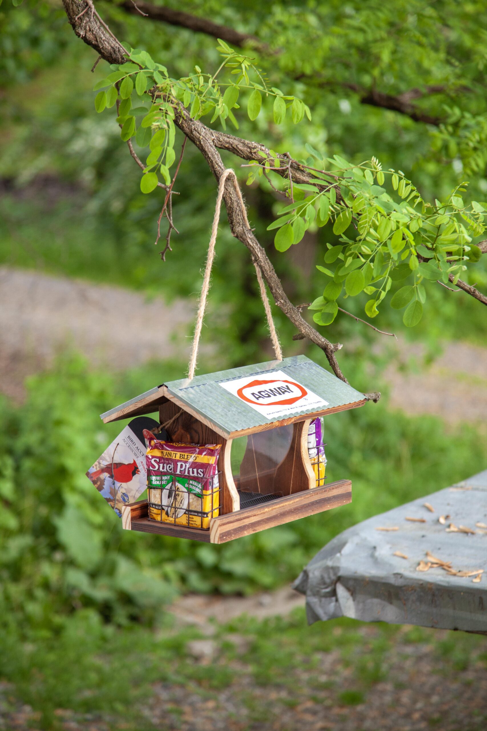 Hanging bird feeder made of wood with a green roof, displaying seed packages, suspended from a tree branch in a lush garden setting.