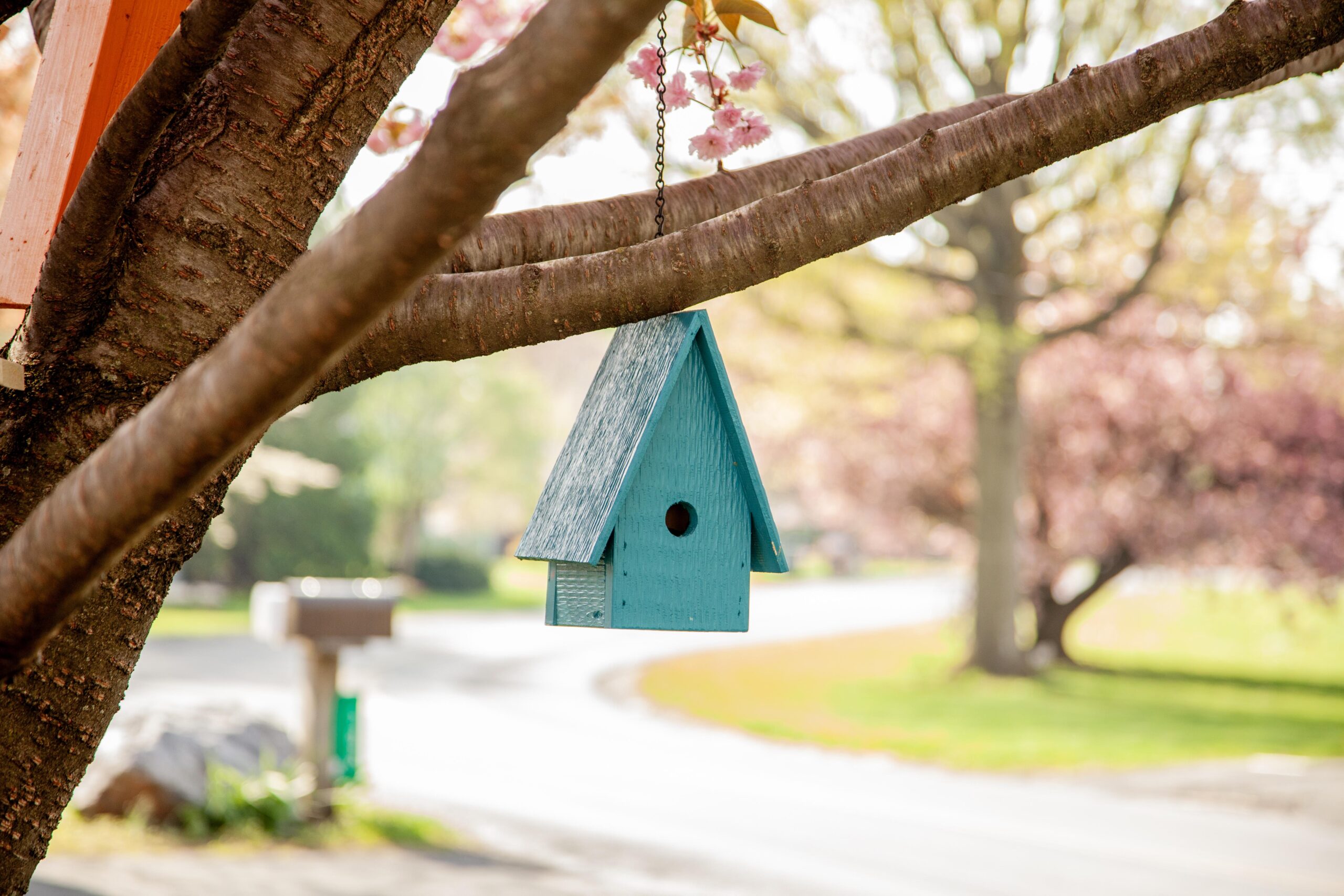 Blue birdhouse hanging from tree branch on a sunny day with blurred green and pink foliage in background.