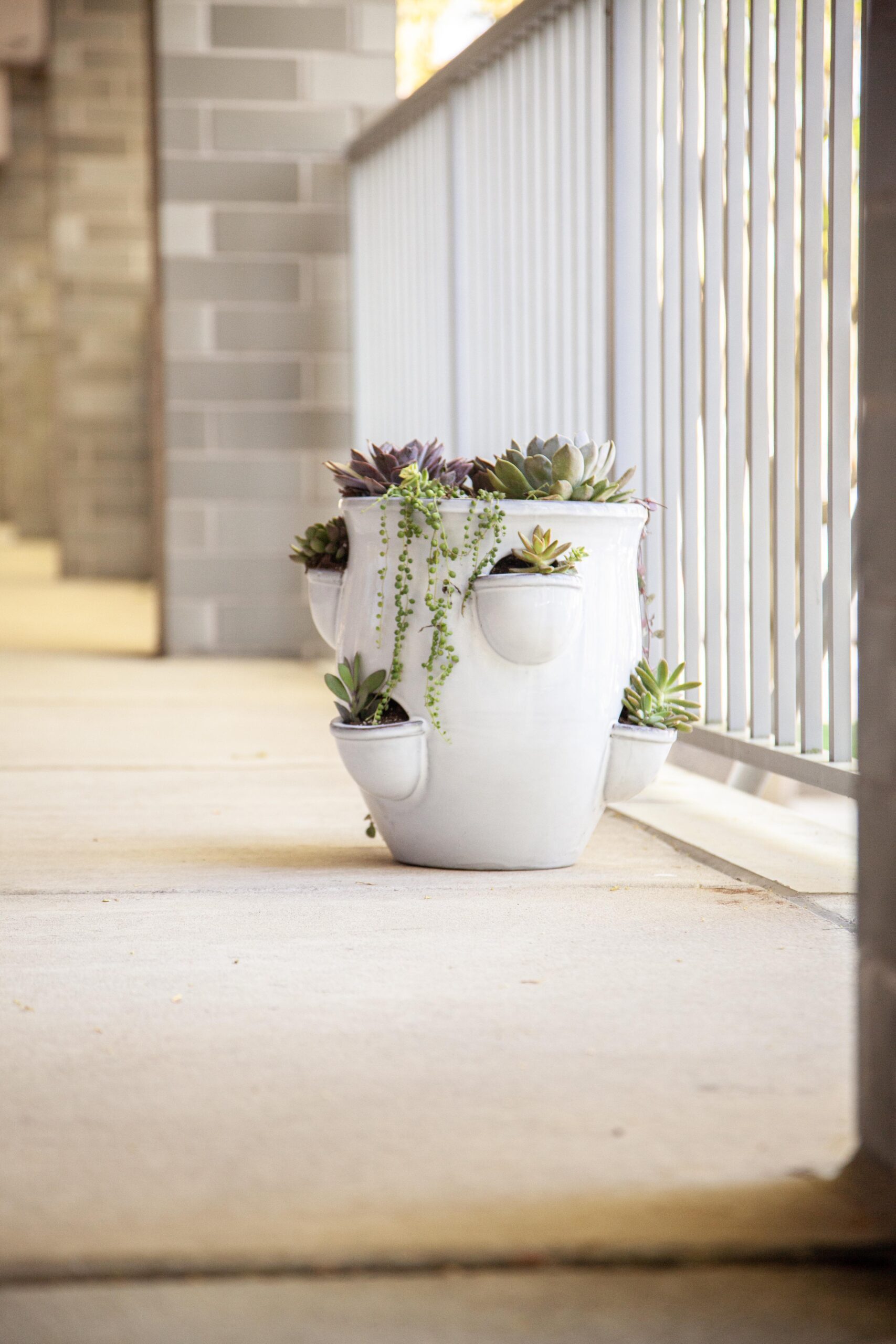 White planter with succulents on a sunny balcony, enhanced by a brick wall and railing, exuding tranquility.