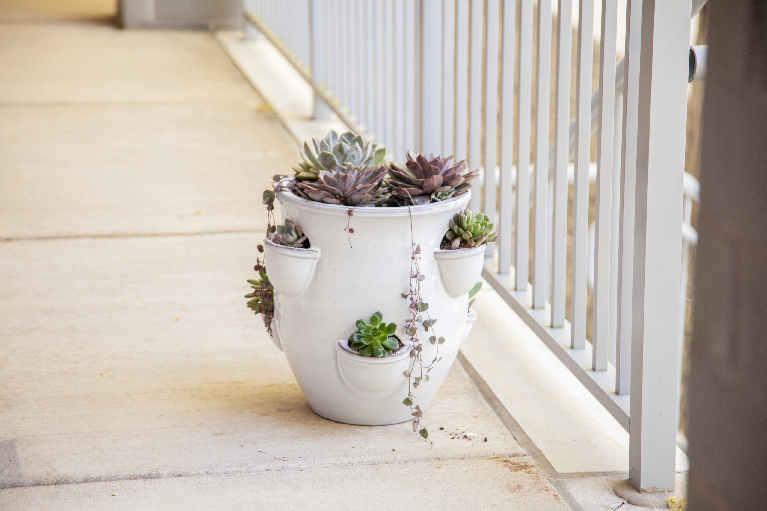 A white ceramic pot filled with various succulents, placed on a concrete balcony next to a railing. The pot features smaller side compartments for additional plants, creating a decorative and vibrant outdoor display.