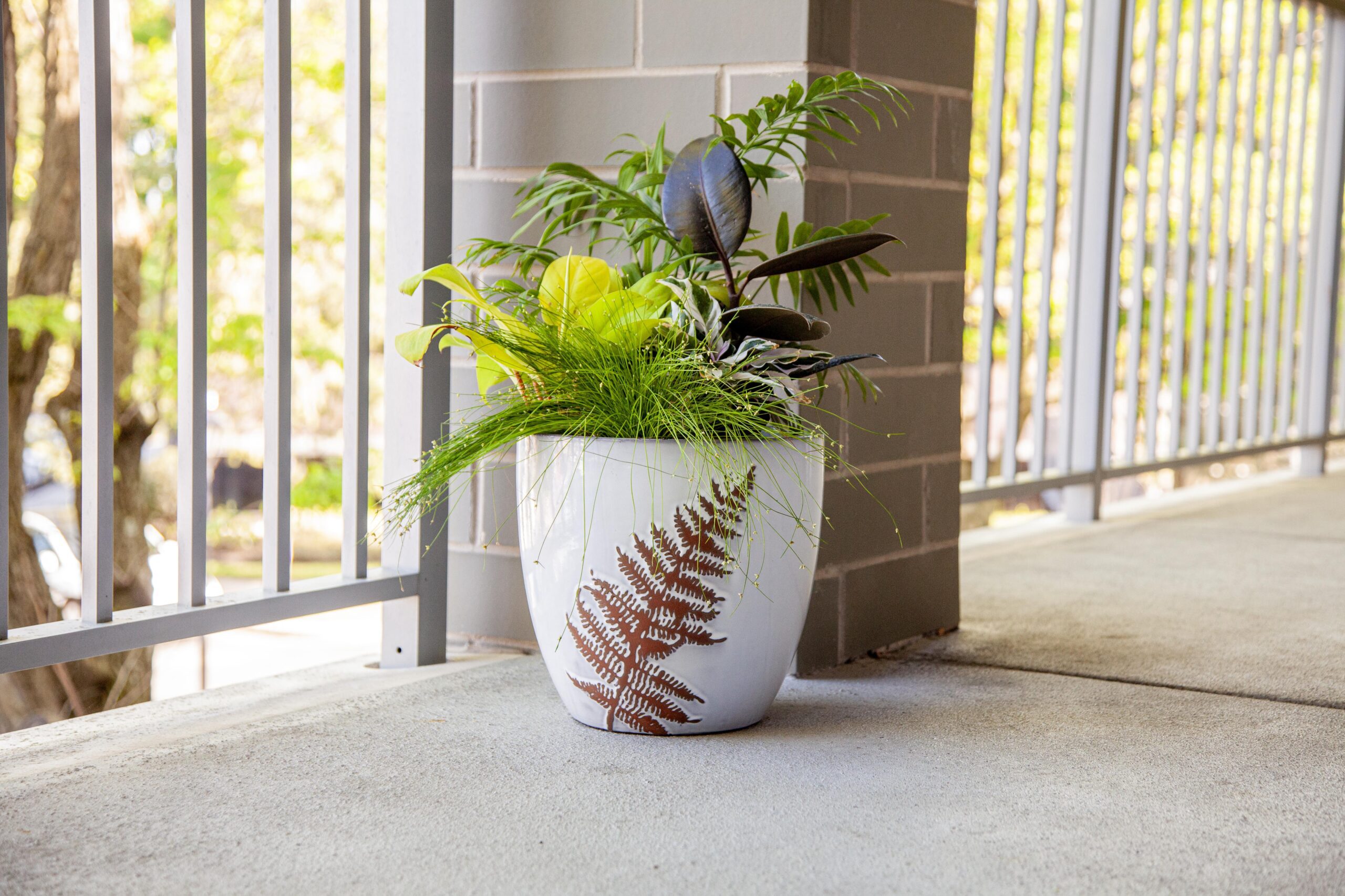 Potted plants with green foliage on a balcony, in a decorative white and brown fern-patterned planter.