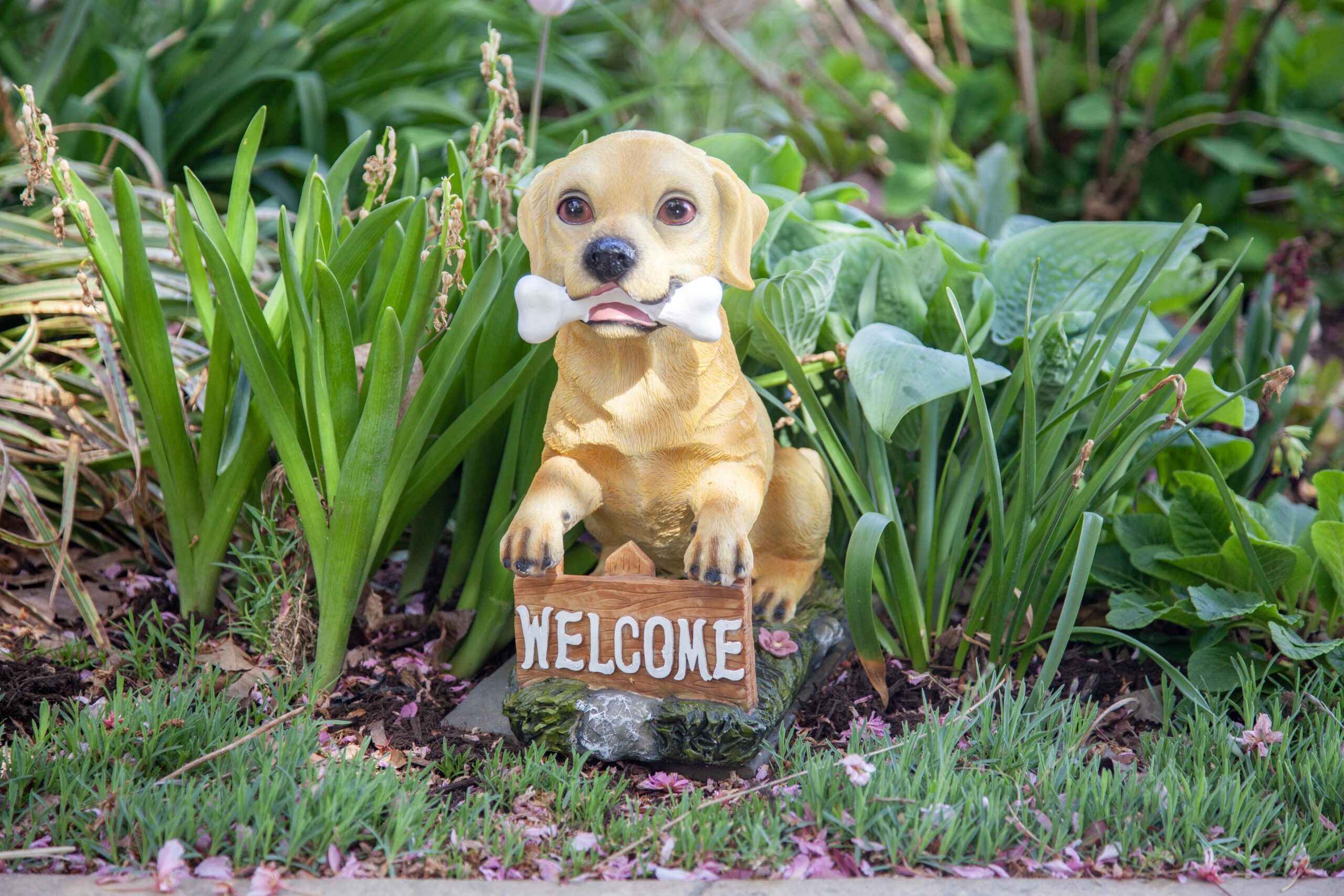 Garden statue of a playful dog holding a bone and sitting next to a "Welcome" sign, surrounded by greenery and flowers. Ideal for enhancing outdoor spaces and adding a friendly touch to gardens.