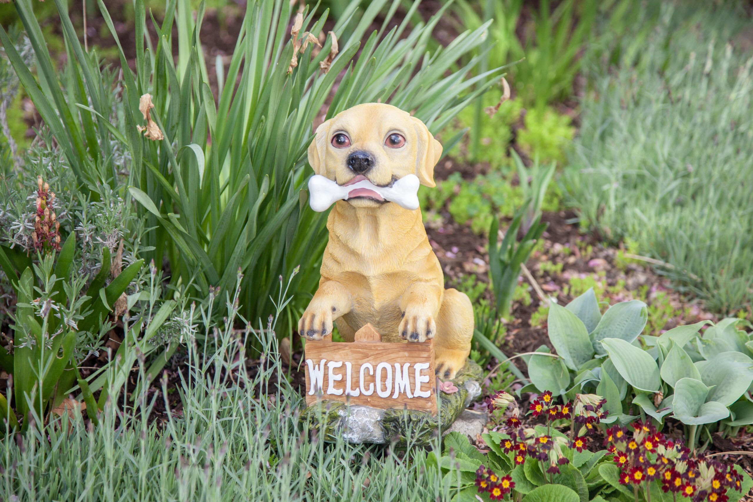 Dog statue holding bone welcomes guests in garden with colorful flowers and lush greenery.
