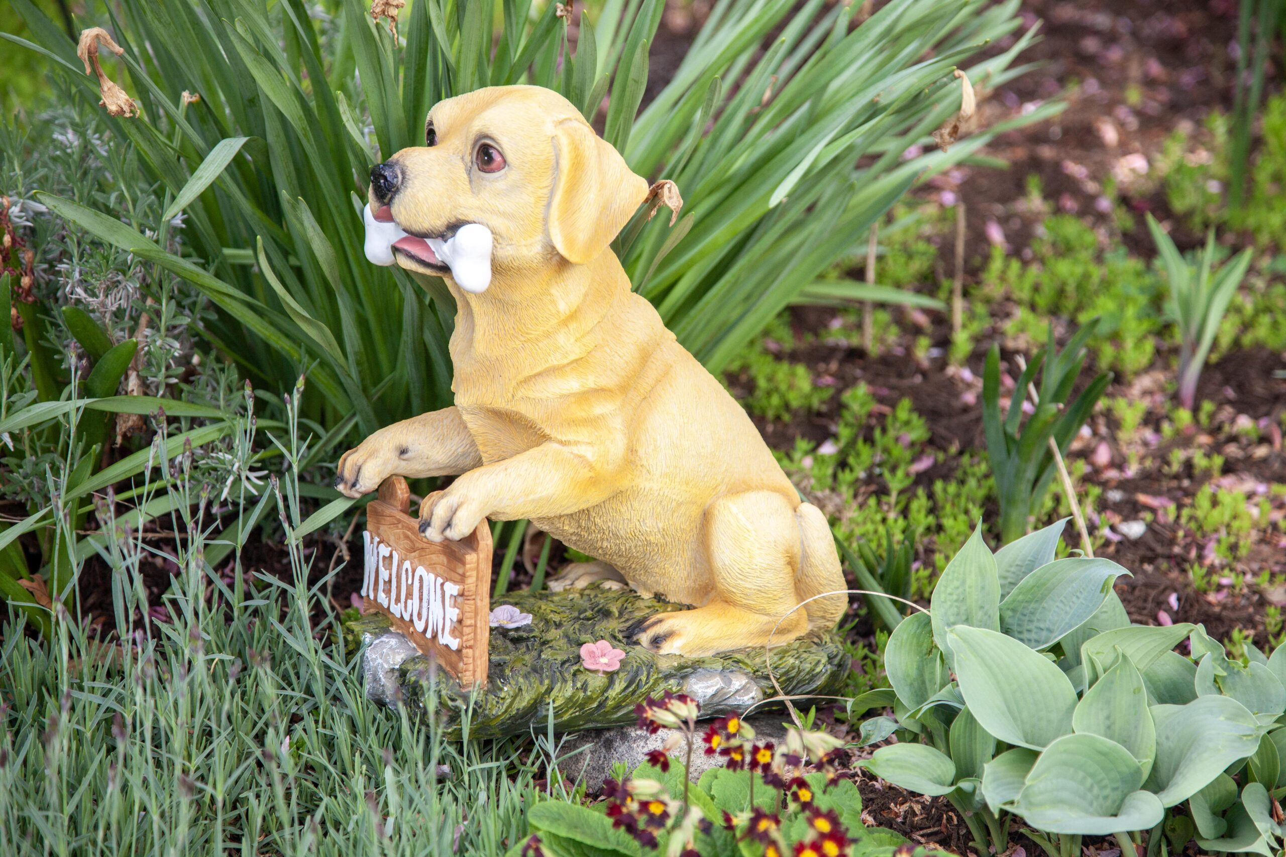 A cheerful yellow dog statue holding a bone sits next to a "Welcome" sign in a lush garden, surrounded by vibrant green plants and colorful flowers.