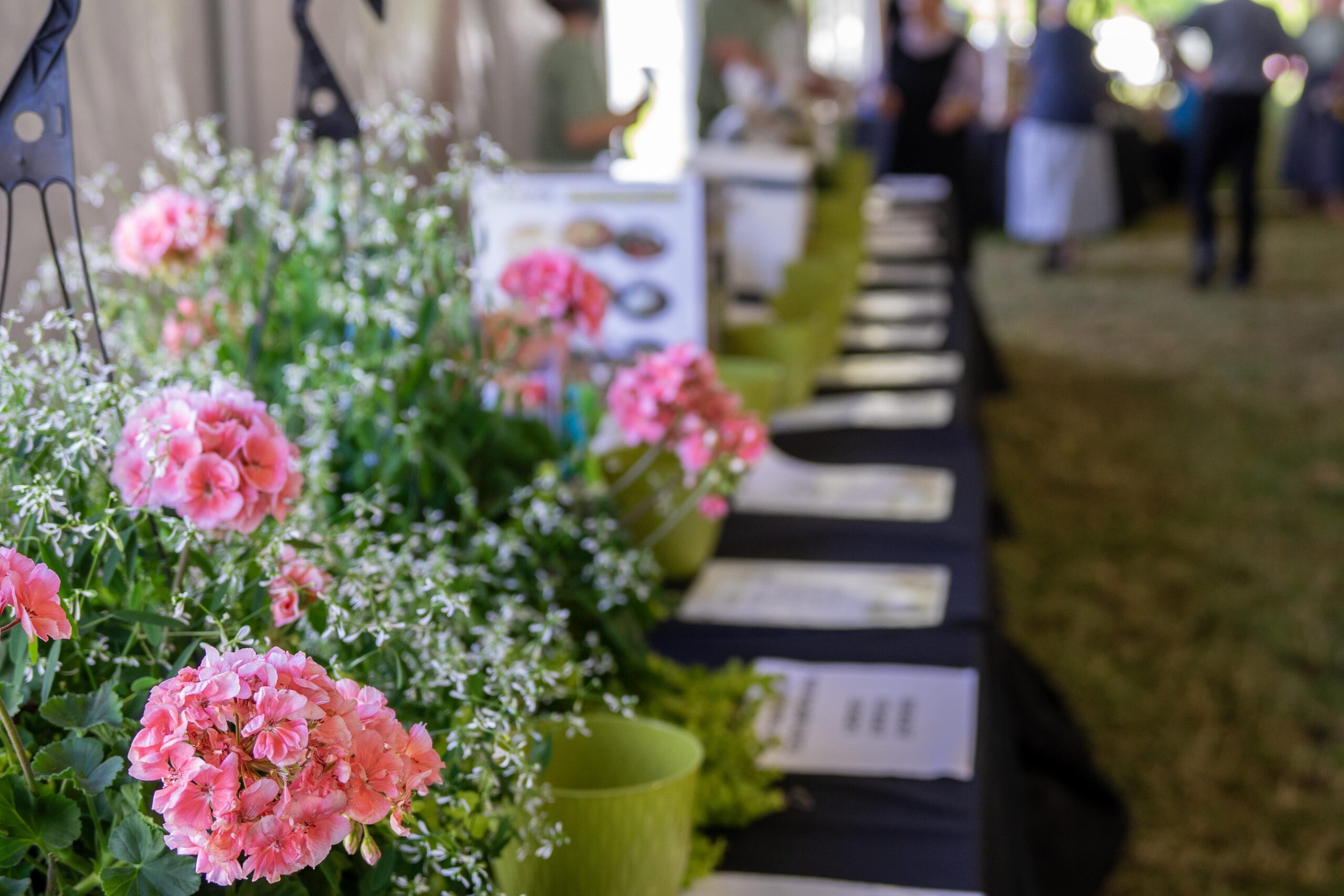 Colorful pink geraniums amidst greenery in a well-decorated event space, featuring tables lined with informational displays and guests engaged in conversation.