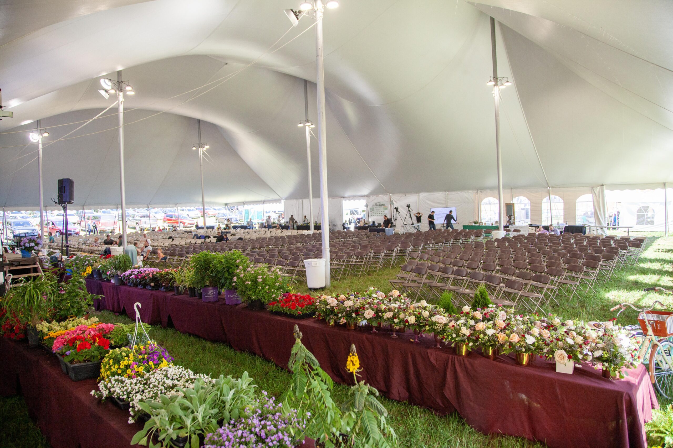 Large event tent filled with rows of folding chairs and tables adorned with colorful potted flowers, set up for a floral exhibition or gathering. The spacious interior is well-lit, showcasing a vibrant arrangement of plants and flowers alongside preparations for attendees.