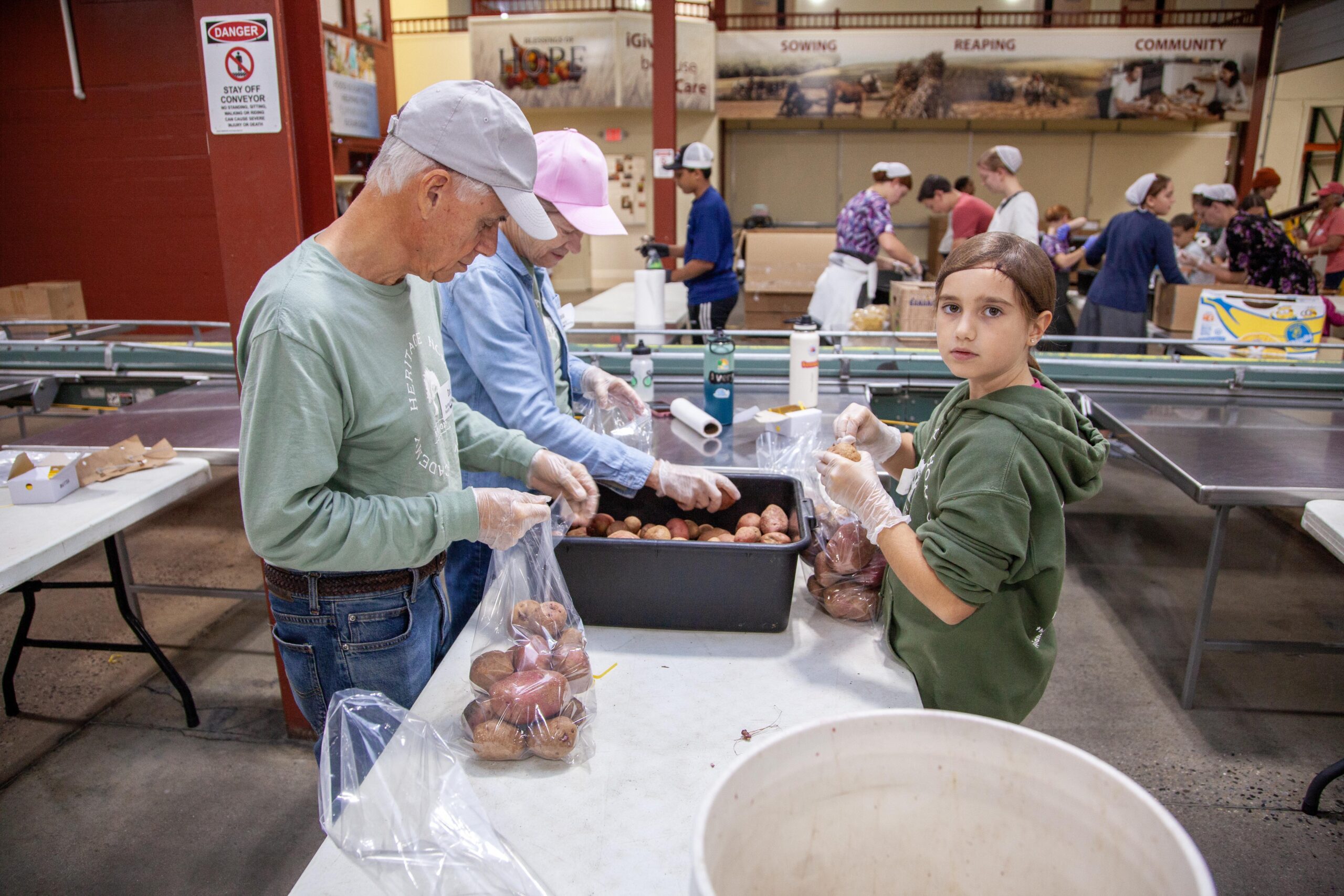 Volunteers sorting and packaging potatoes in a community center, with an emphasis on teamwork and engagement across different age groups.