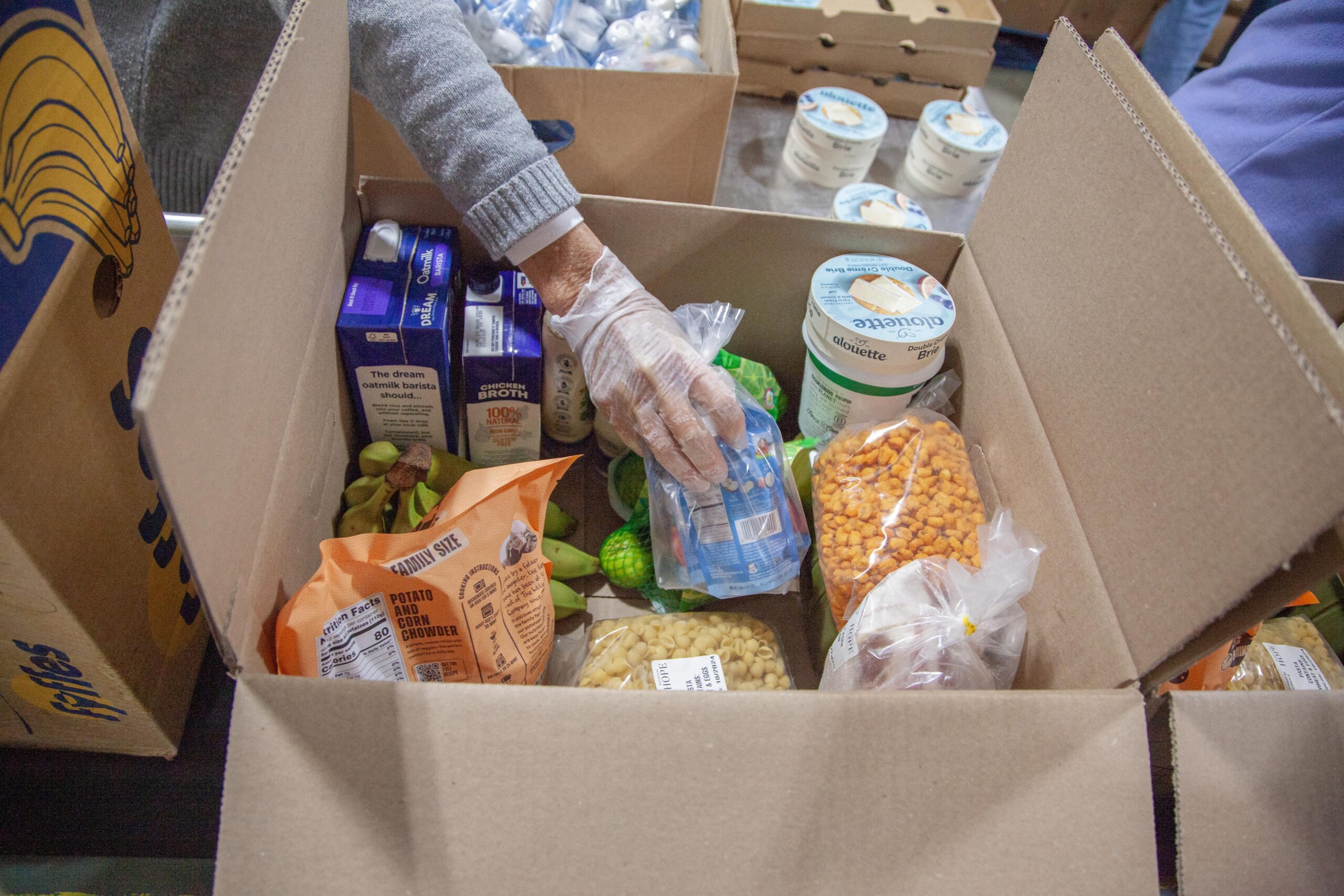 A volunteer wearing gloves organizes a food box filled with various groceries, including oat milk, chicken broth, fruits, and packaged meals, highlighting community support and food distribution efforts.
