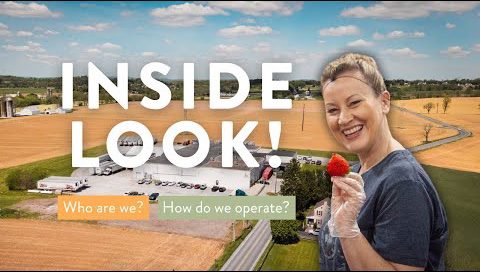 Aerial view of a farm with a smiling woman holding a strawberry, showcasing the agricultural operations and inviting viewers to learn more about the farm's identity and processes.