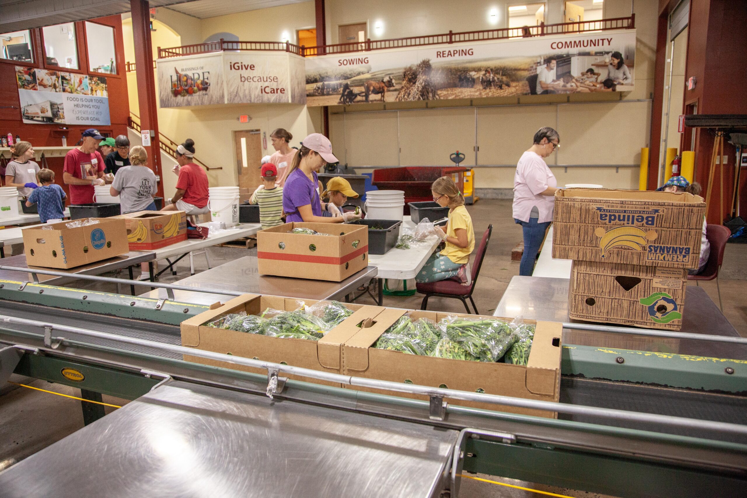 Volunteers sorting and packing fresh produce in a community food distribution center, with boxes of vegetables and a bustling workspace in the background.