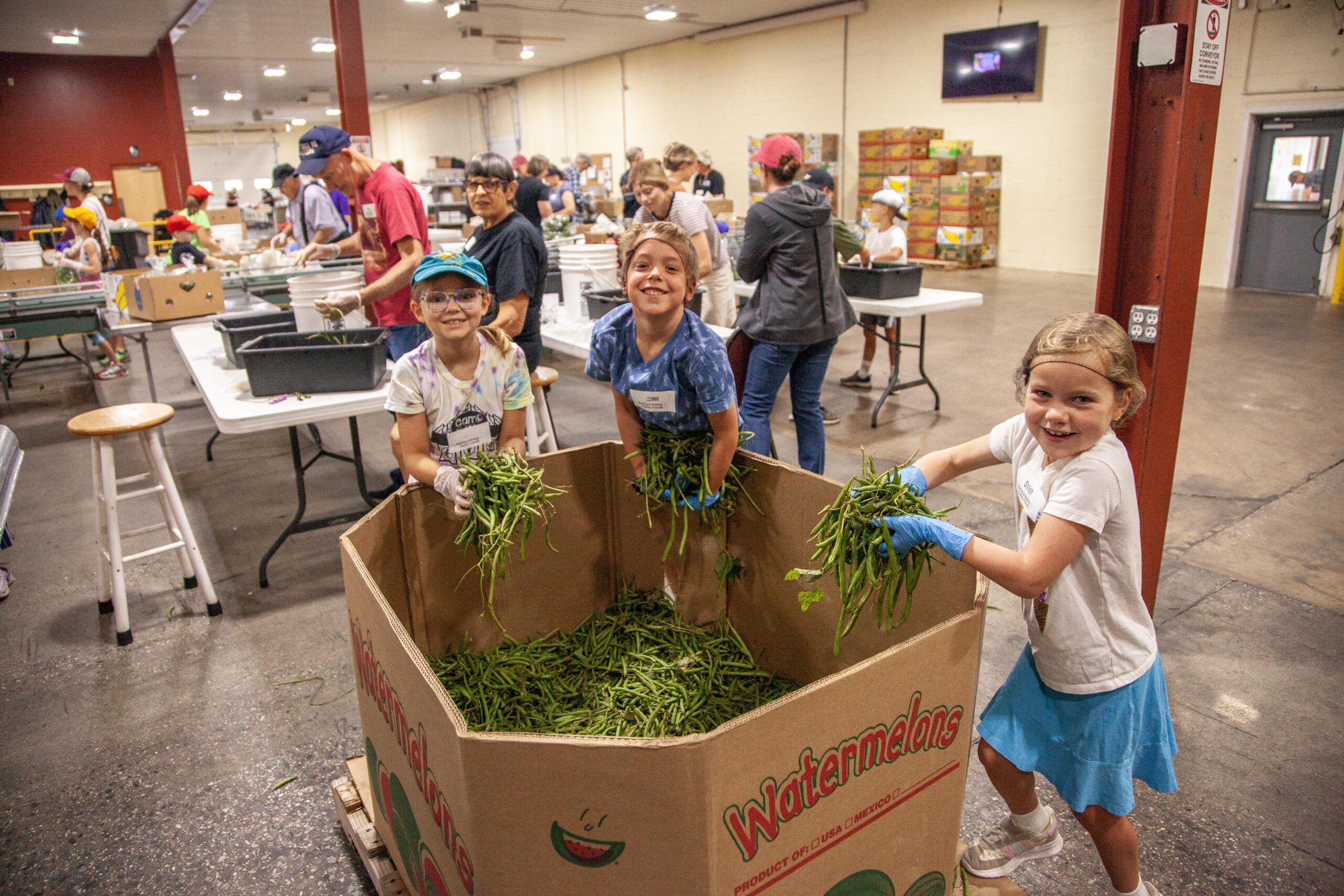 Children volunteering in a food bank, sorting green beans into large cardboard boxes, with adults assisting in the background. The scene depicts teamwork and community involvement in food distribution efforts.