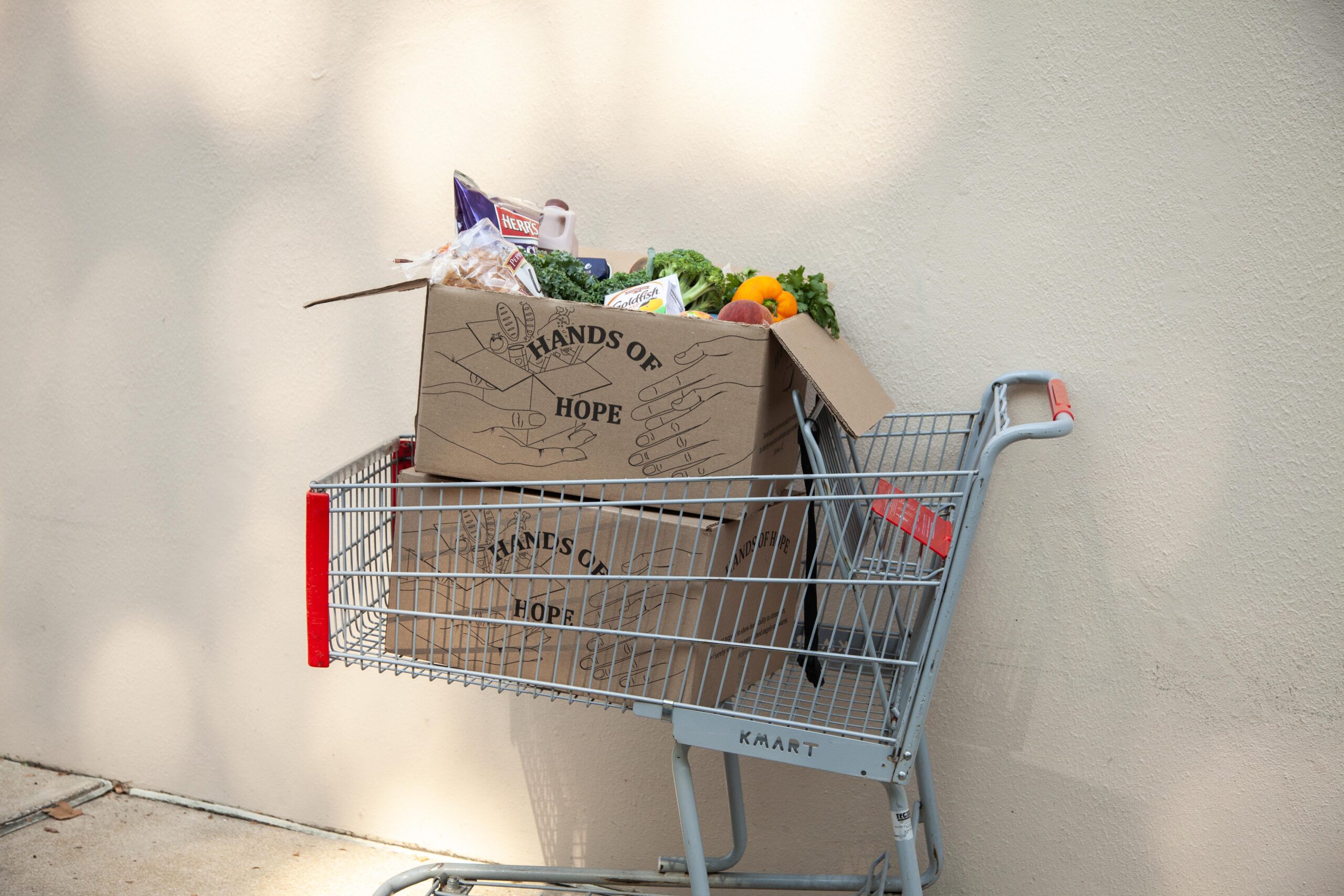 A grocery cart filled with cardboard boxes labeled "Hands of Hope," containing fresh produce and food items, parked against a light-colored wall.