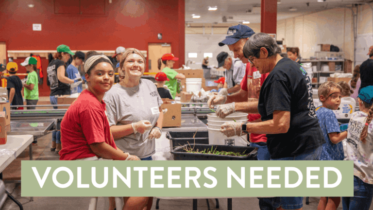 Group of diverse volunteers working together in a community food distribution center, sorting vegetables and packing boxes. The image highlights the importance of volunteerism with a caption stating "Volunteers Needed."