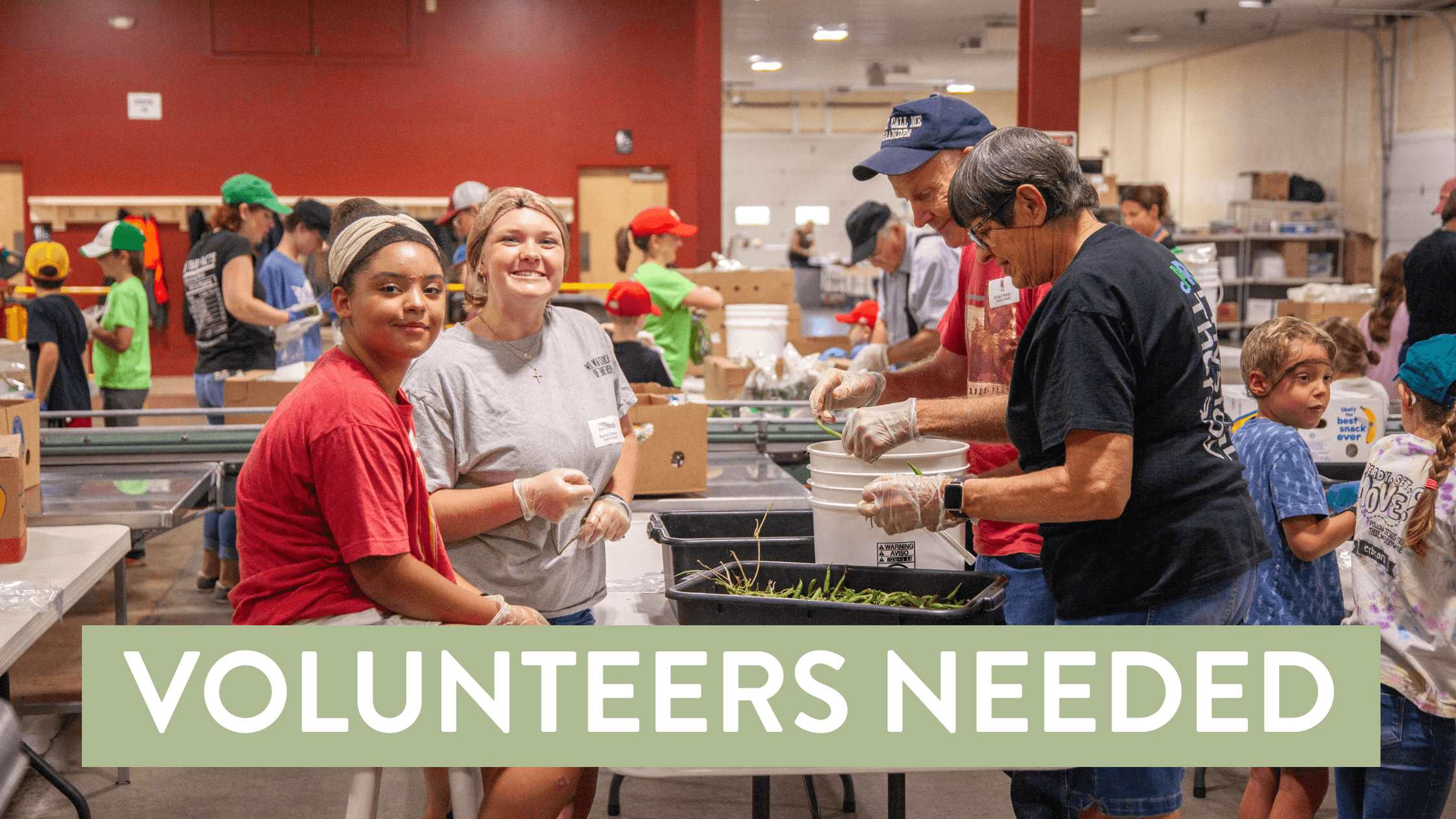 Group of diverse volunteers working together in a community food distribution center, sorting vegetables and packing boxes. The image highlights the importance of volunteerism with a caption stating "Volunteers Needed."