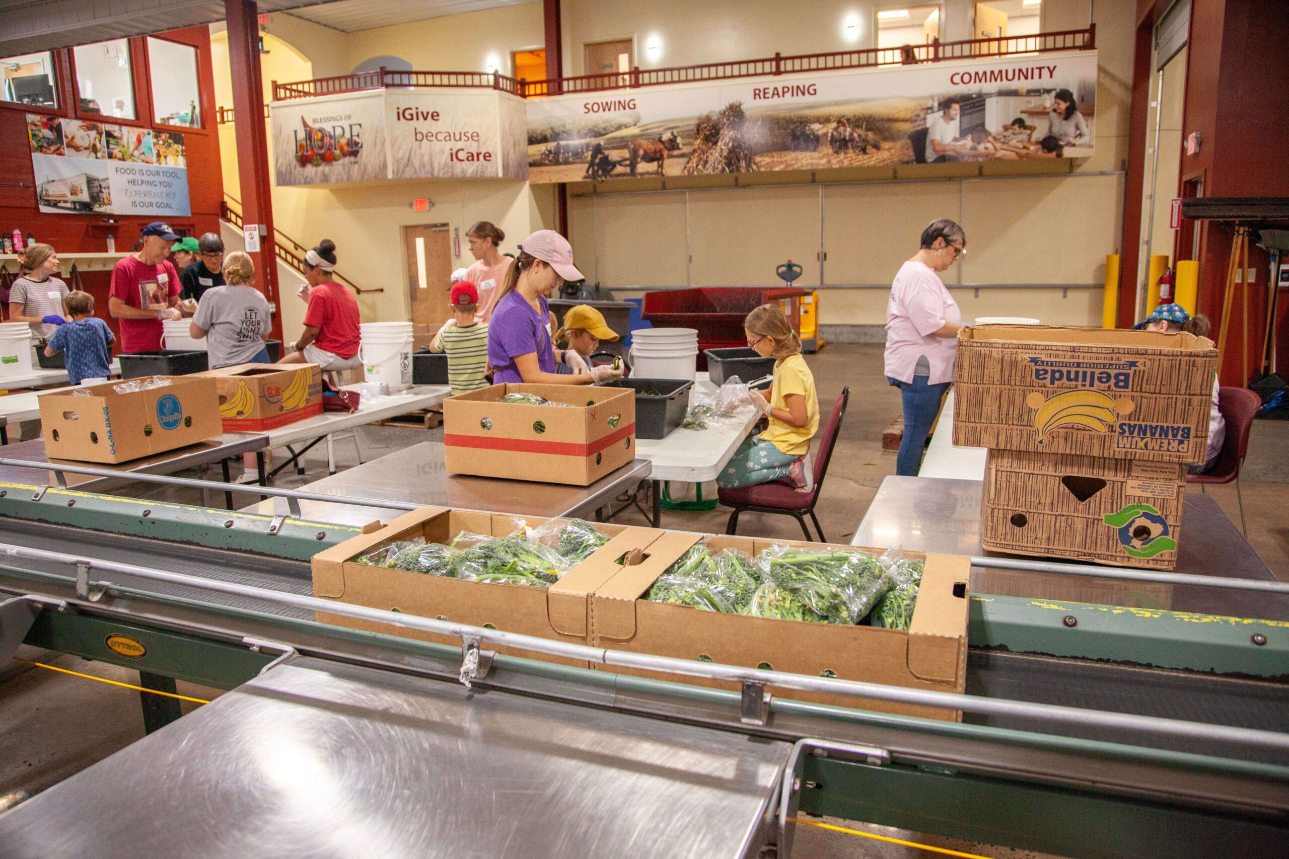 Volunteers sorting and packaging fresh produce in a community food distribution center, featuring boxes of vegetables and a collaborative atmosphere for food assistance efforts.