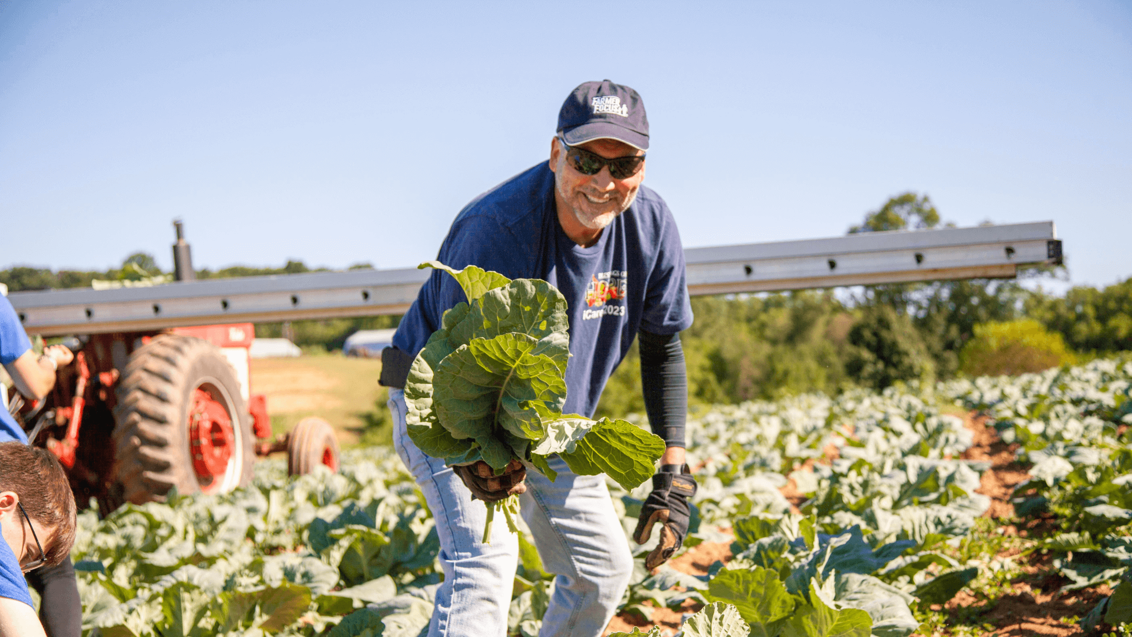 A farmer smiling with hope while harvesting leafy greens in a sunny field, with a tractor in the background and rows of cabbage plants.
