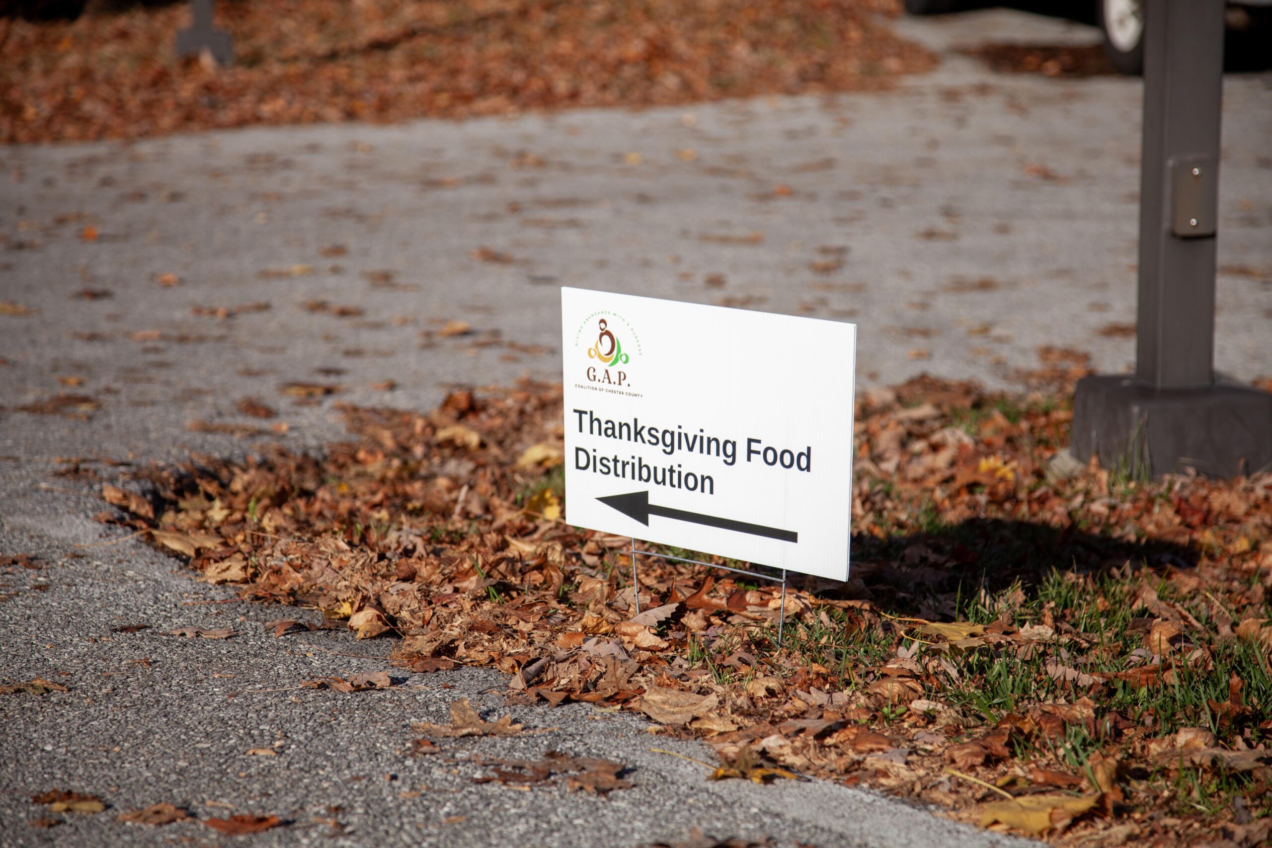 Sign for Thanksgiving food distribution event with an arrow pointing left, surrounded by fallen leaves.