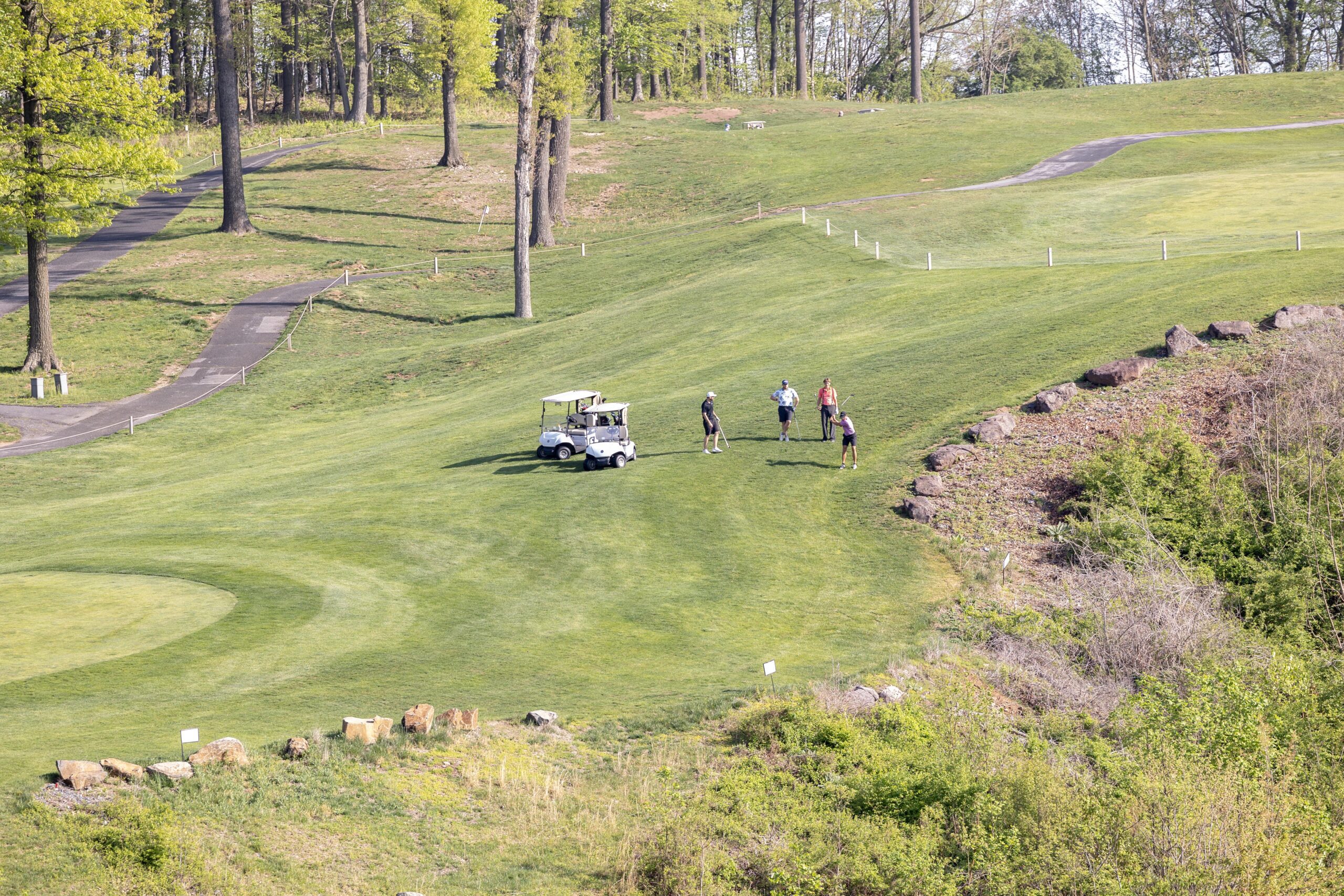 A group of four golfers on a lush green course, with a golf cart parked nearby, surrounded by trees and a well-maintained landscape. The scene captures a sunny day perfect for golfing.