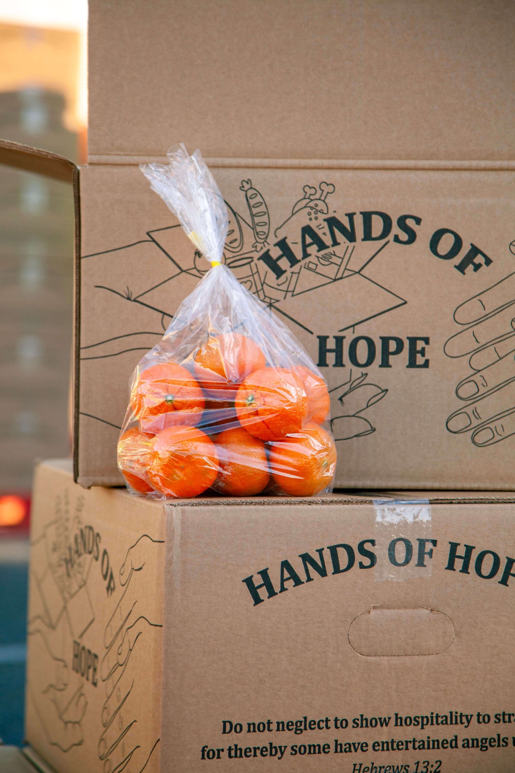 A clear plastic bag filled with fresh oranges sits atop cardboard boxes labeled "Hands of Hope," emphasizing community support and food distribution efforts.