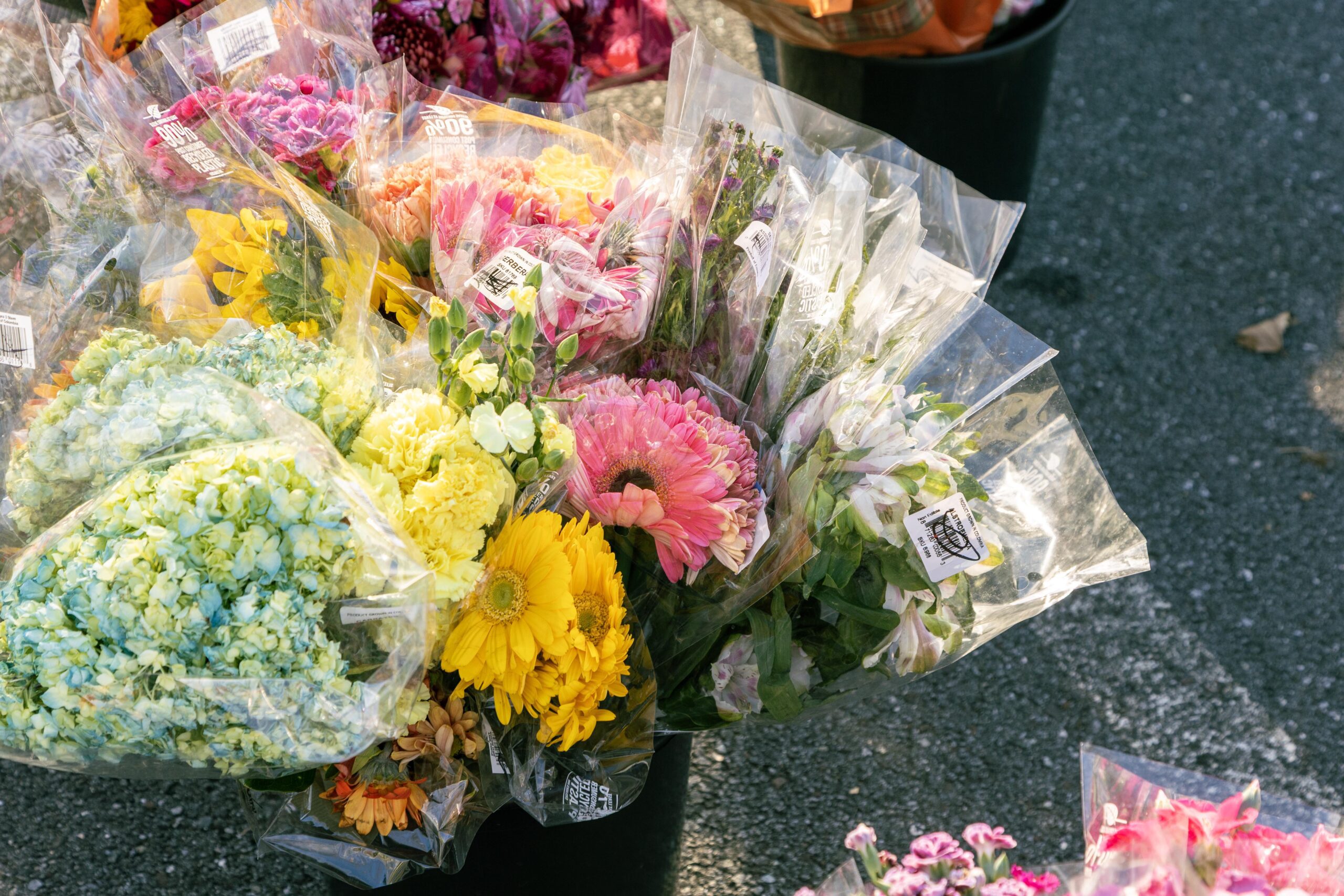 Colorful bouquets of fresh flowers in clear plastic wrapping, including hydrangeas, gerberas, and sunflowers, displayed at a market.