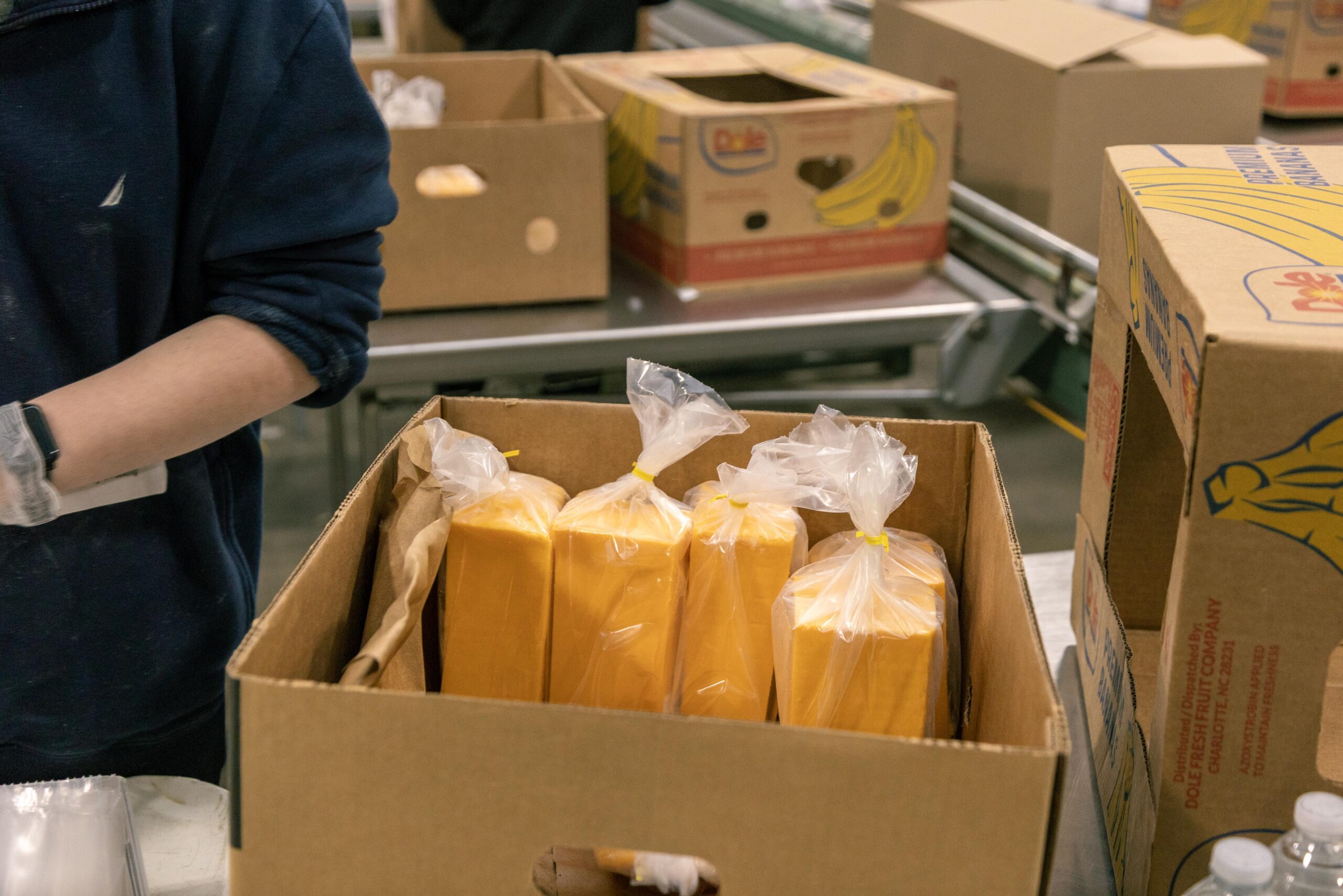 Boxes containing packaged blocks of cheddar cheese are being prepared in a food processing facility. A worker in a blue sweatshirt and gloves is handling the packaging process, with additional empty boxes visible in the background.