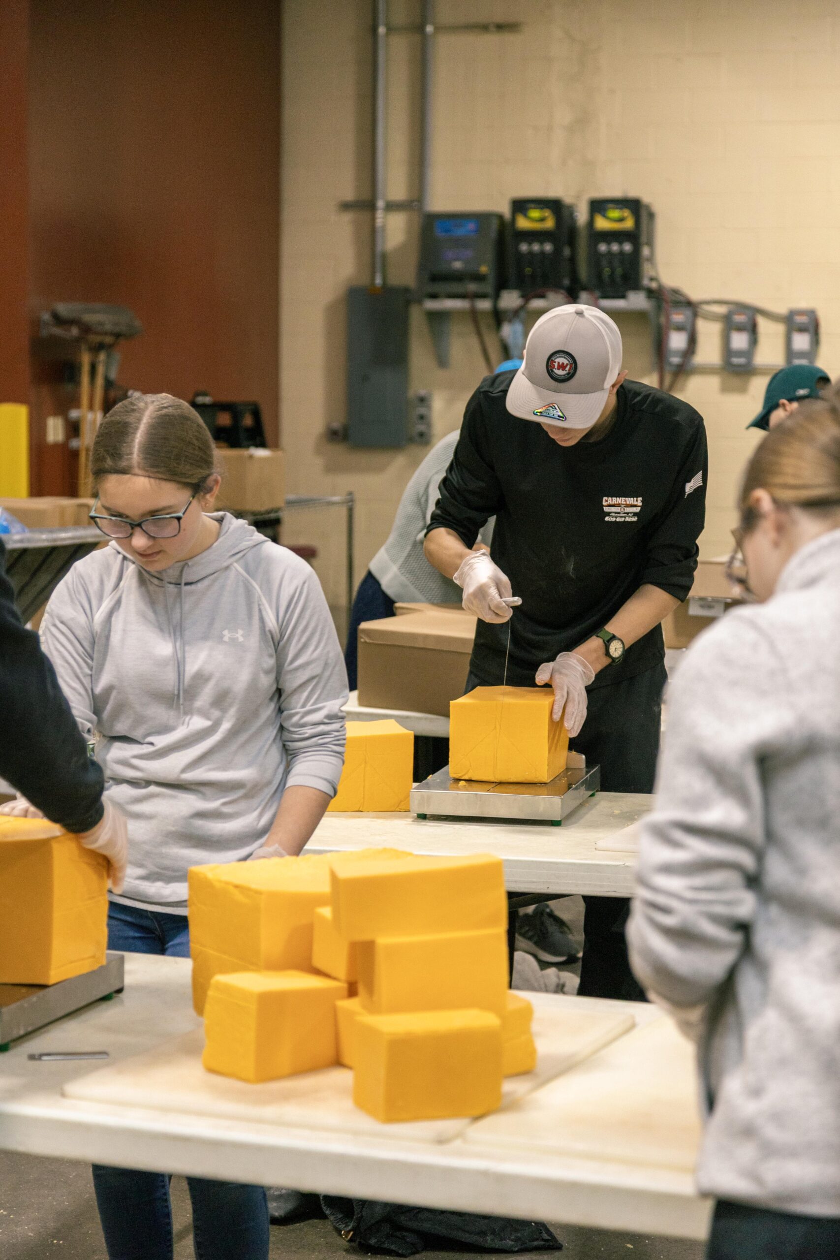 Participants in a cheese-making workshop carefully cut and package large blocks of yellow cheese in a well-equipped kitchen. The image shows several individuals engaged in the process, highlighting teamwork and the art of cheese production.