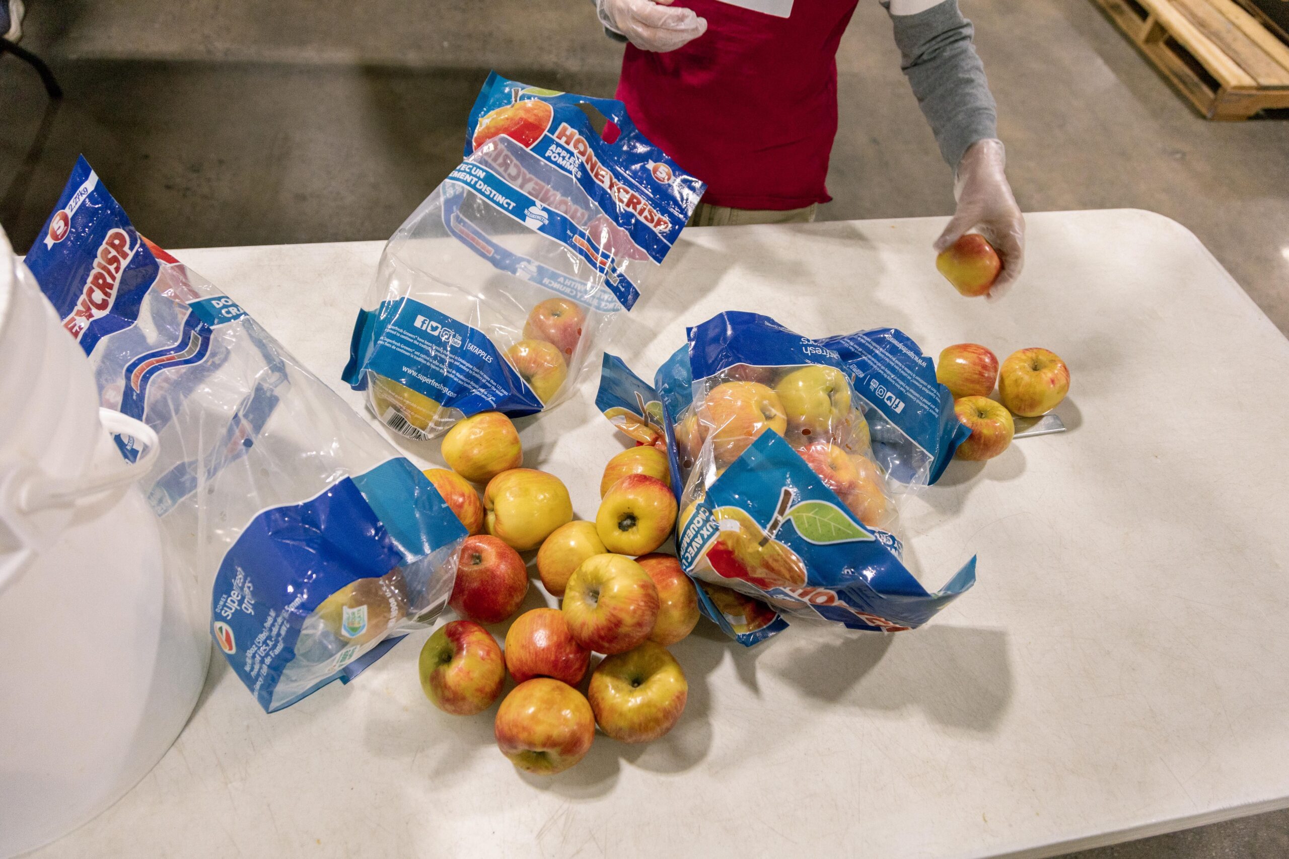Person sorting Honeycrisp apples from plastic bags on a table, with apples scattered around and a container nearby.