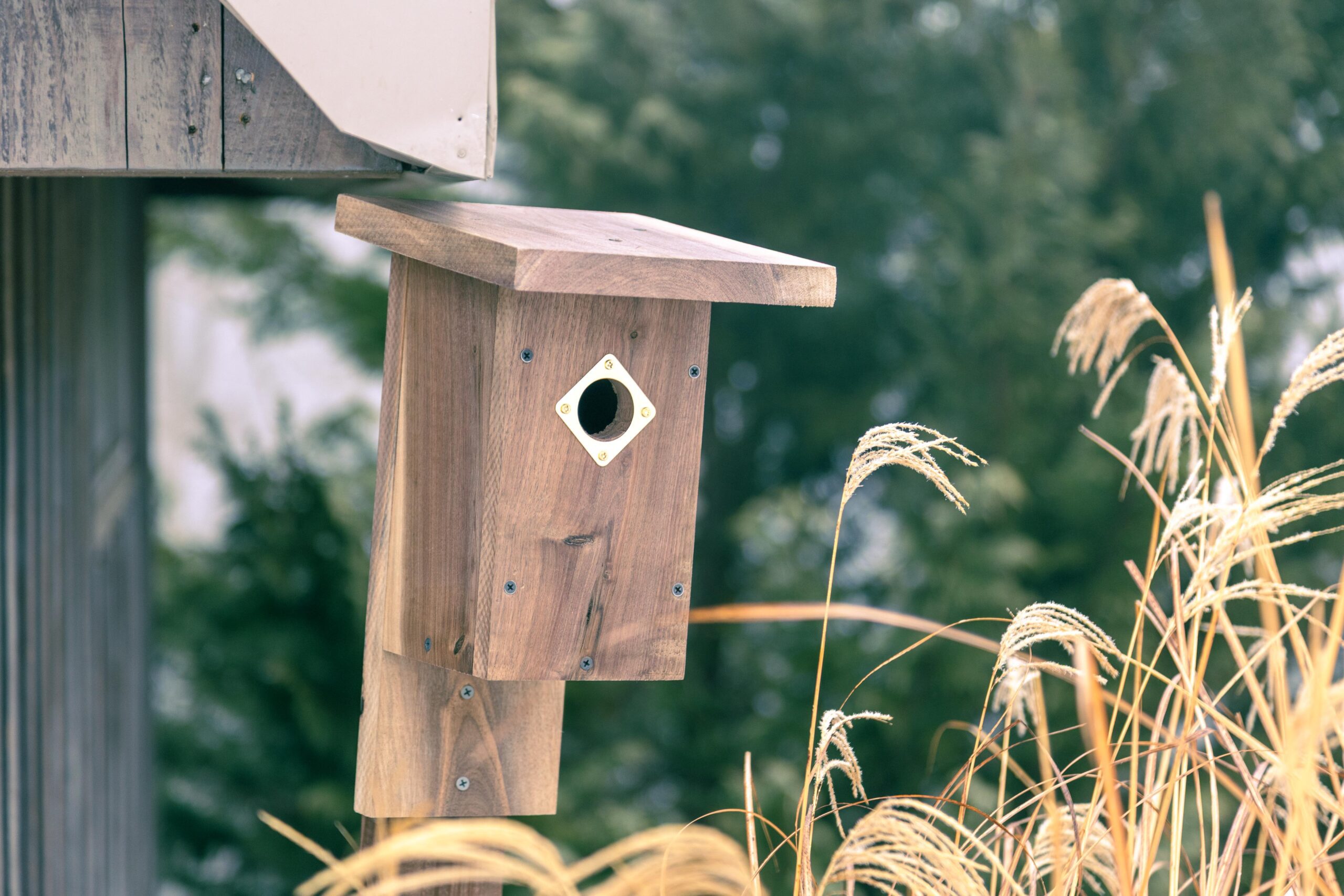 Wooden birdhouse with a brass entrance hole, surrounded by tall grass and greenery, designed for attracting birds in a garden setting.