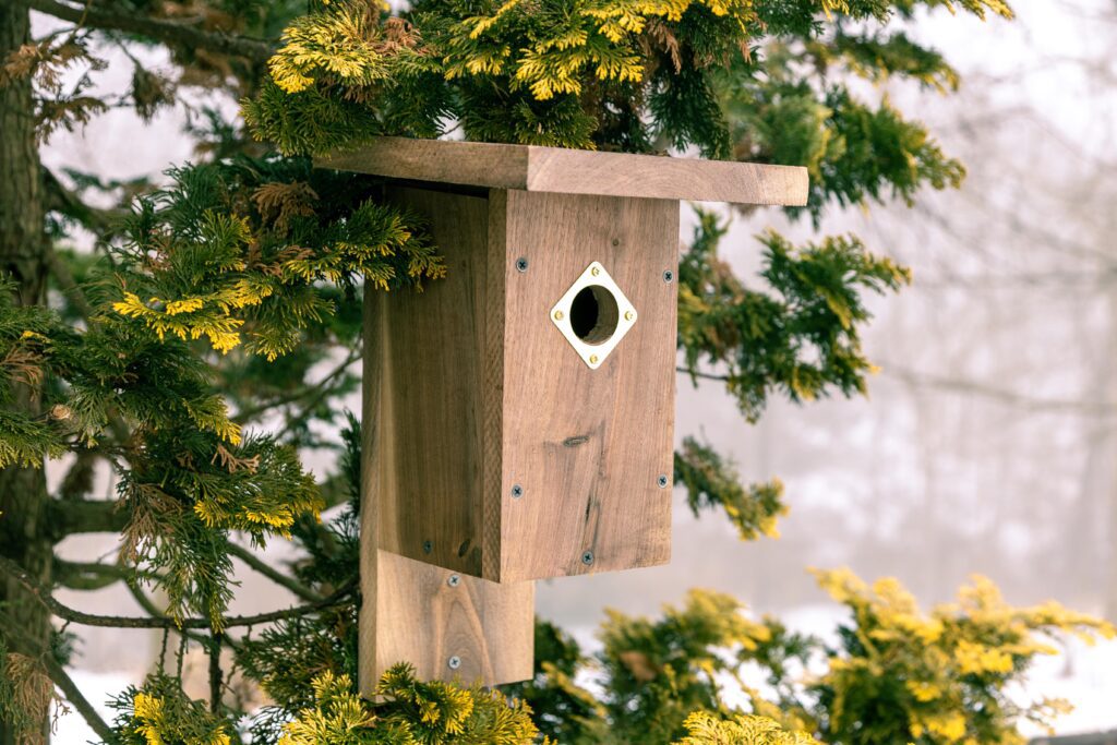 Wooden birdhouse hanging from a tree, surrounded by evergreen foliage, designed for nesting birds in a natural setting.