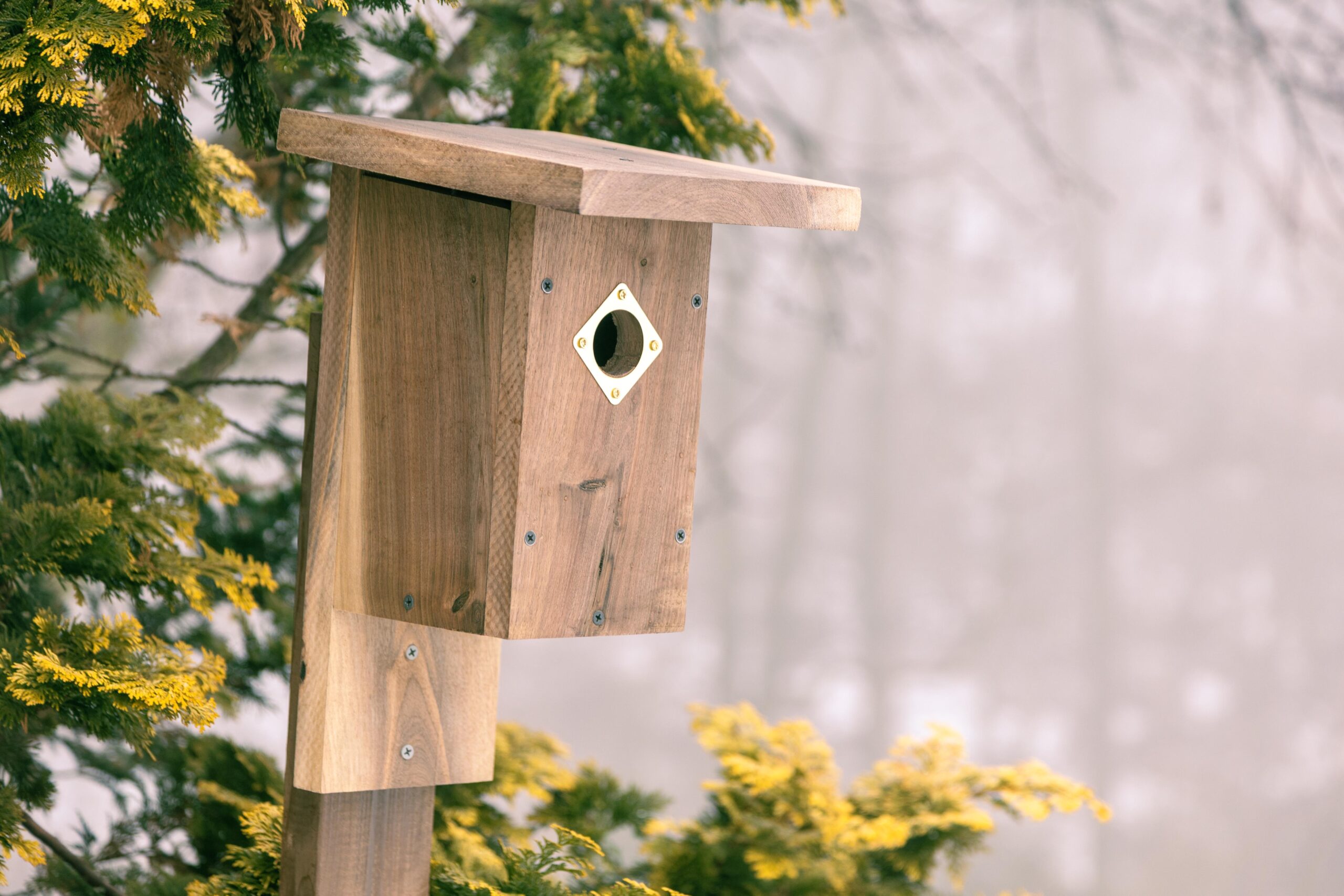 Wooden birdhouse mounted on a post, featuring a circular entrance and brass details, surrounded by misty trees and yellow foliage. Ideal for attracting birds in a natural setting.