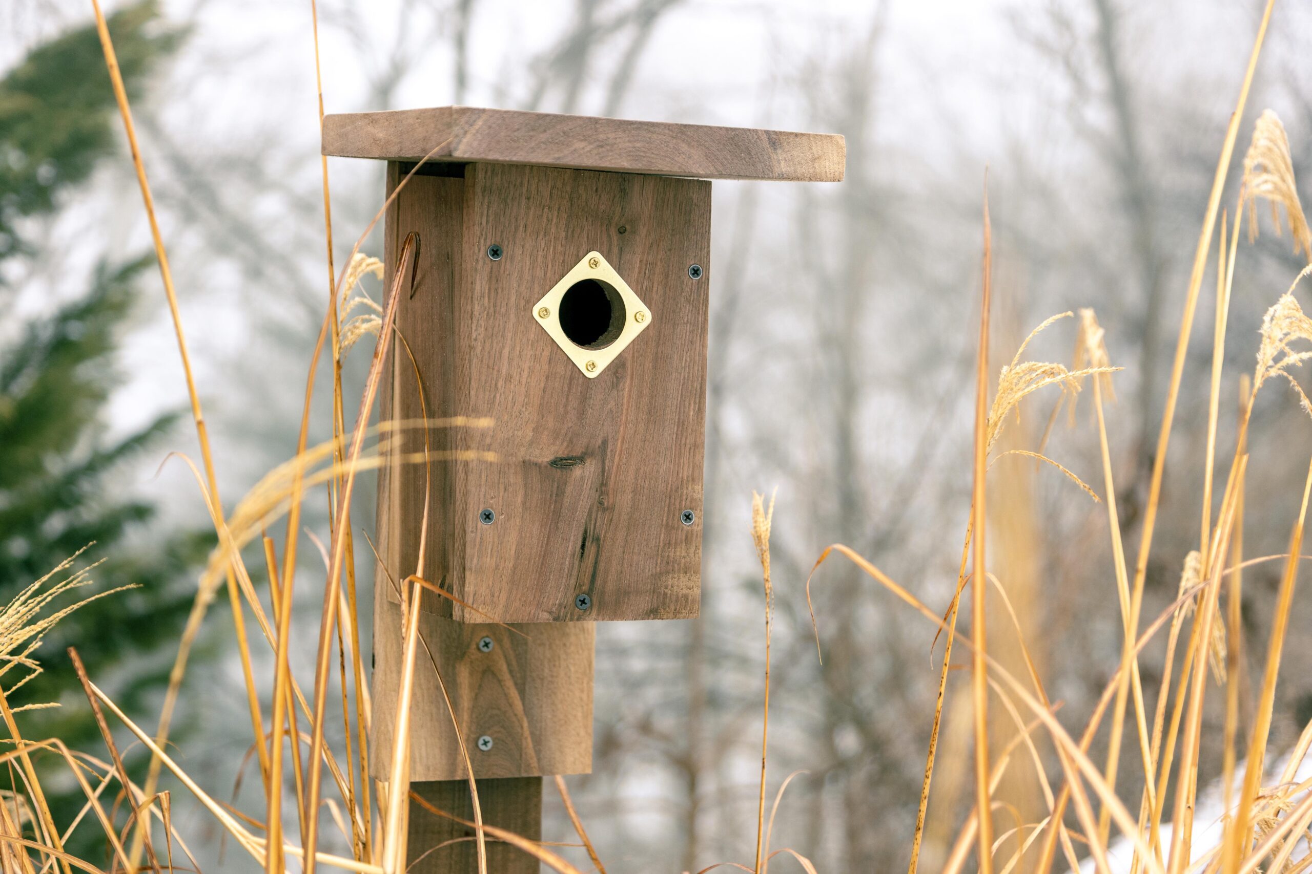 Wooden birdhouse with a brass entrance hole, surrounded by tall grasses in a misty landscape. Ideal for attracting nesting birds in natural settings.